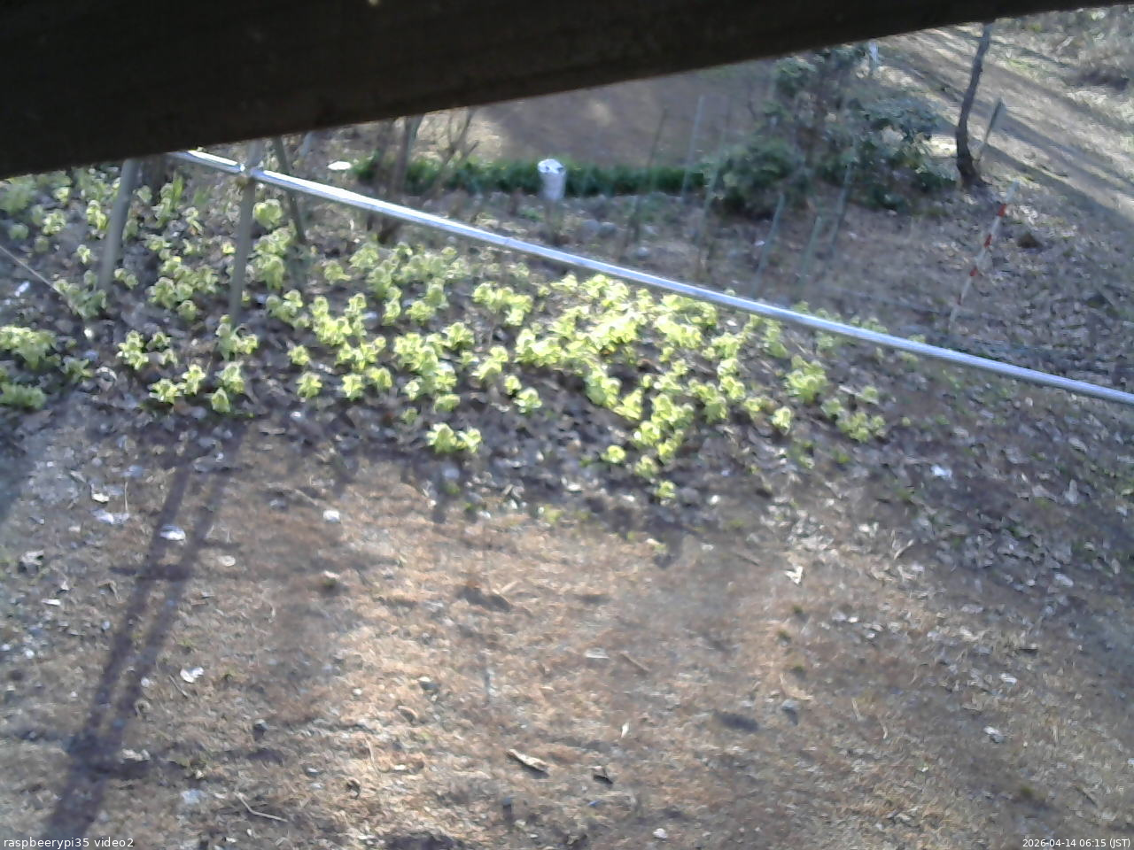 長野県菅平高原 ゆたか山荘 駐車場 2026/04/14 06:15