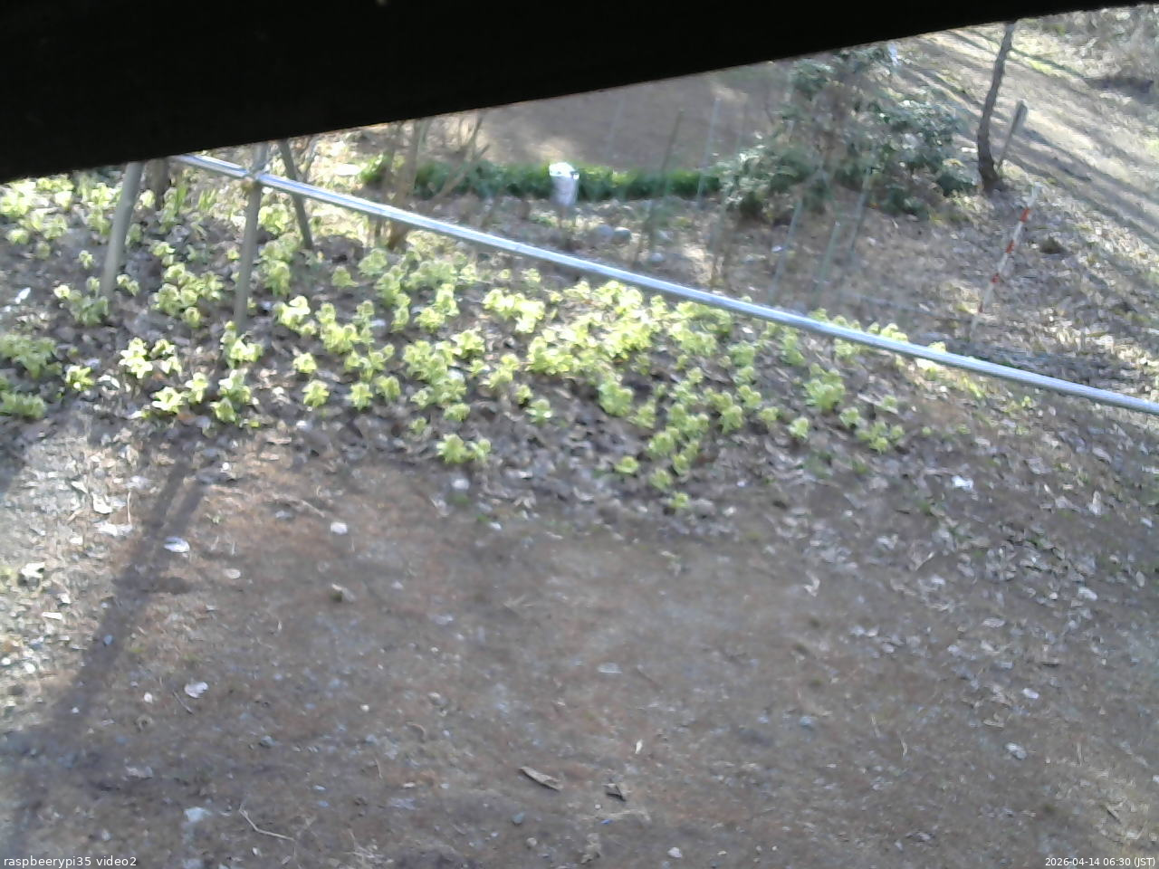 長野県菅平高原 ゆたか山荘 駐車場 2026/04/14 06:30