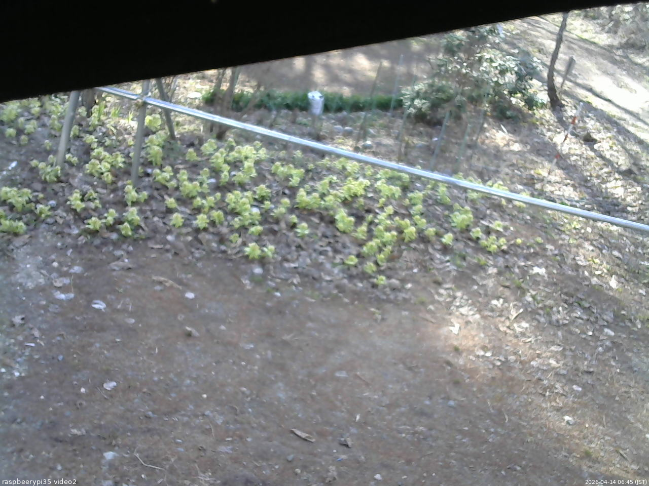 長野県菅平高原 ゆたか山荘 駐車場 2026/04/14 06:45