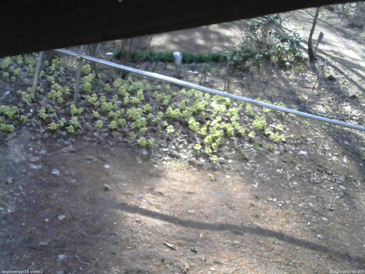 長野県菅平高原 ゆたか山荘 駐車場 2026/04/14 07:00