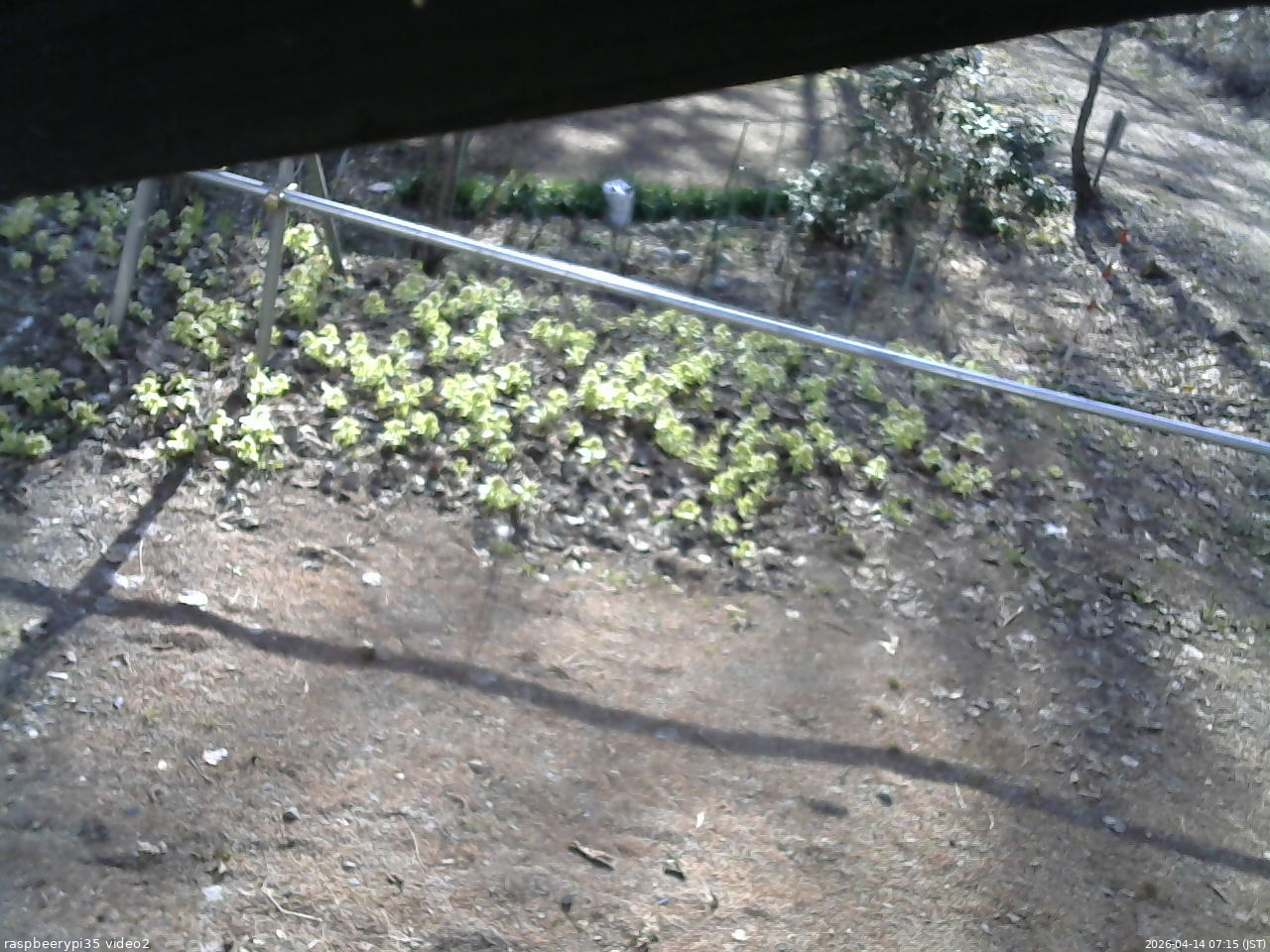 長野県菅平高原 ゆたか山荘 駐車場 2026/04/14 07:15