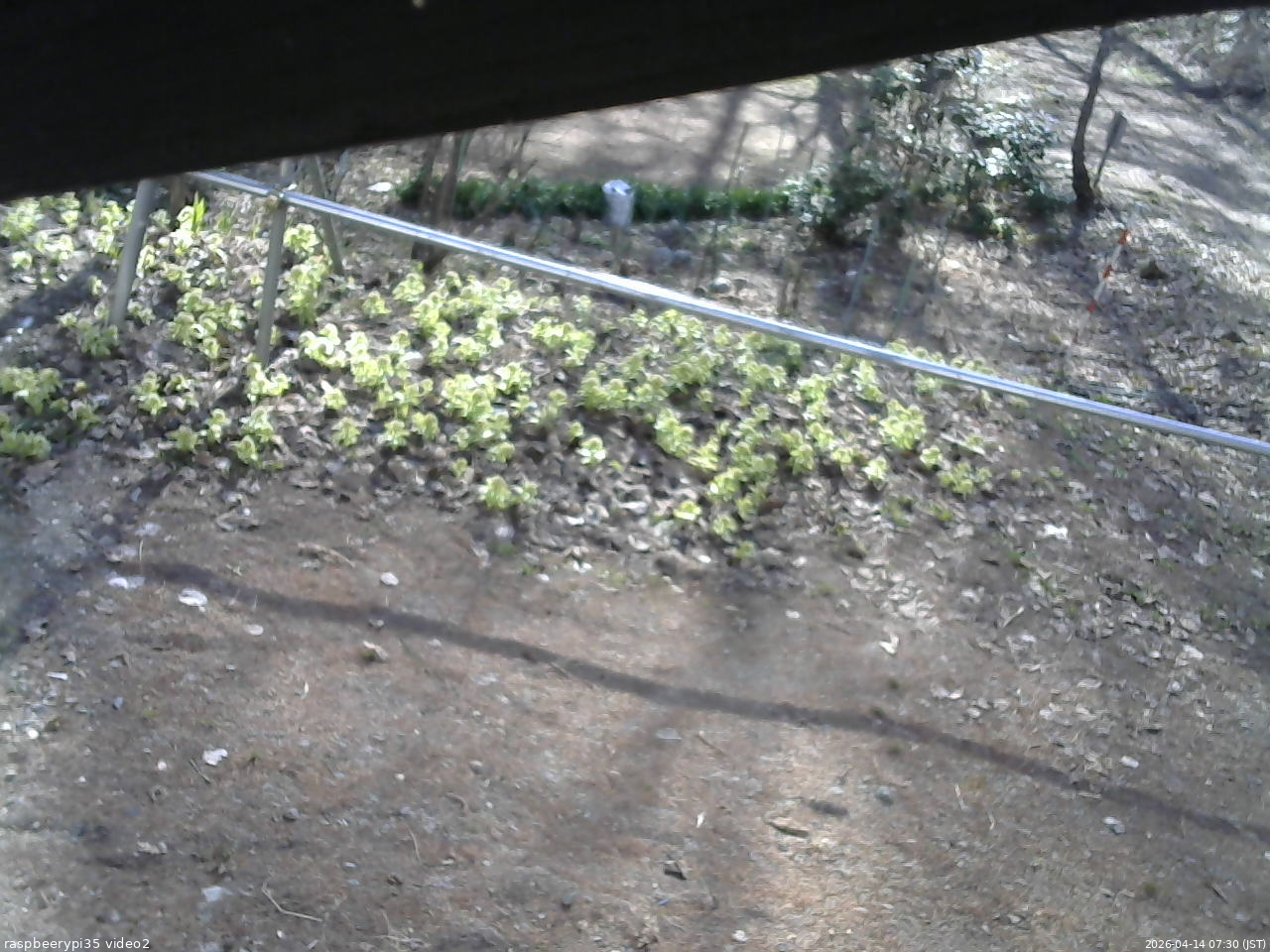 長野県菅平高原 ゆたか山荘 駐車場 2026/04/14 07:30
