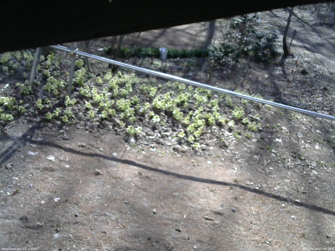 長野県菅平高原 ゆたか山荘 駐車場 2026/04/14 07:45