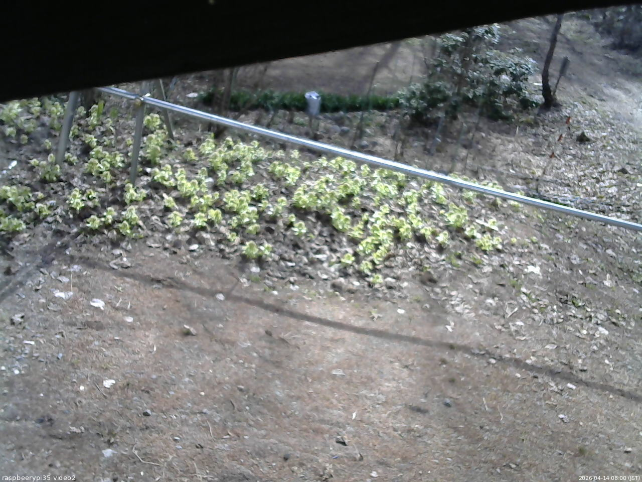 長野県菅平高原 ゆたか山荘 駐車場 2026/04/14 08:00