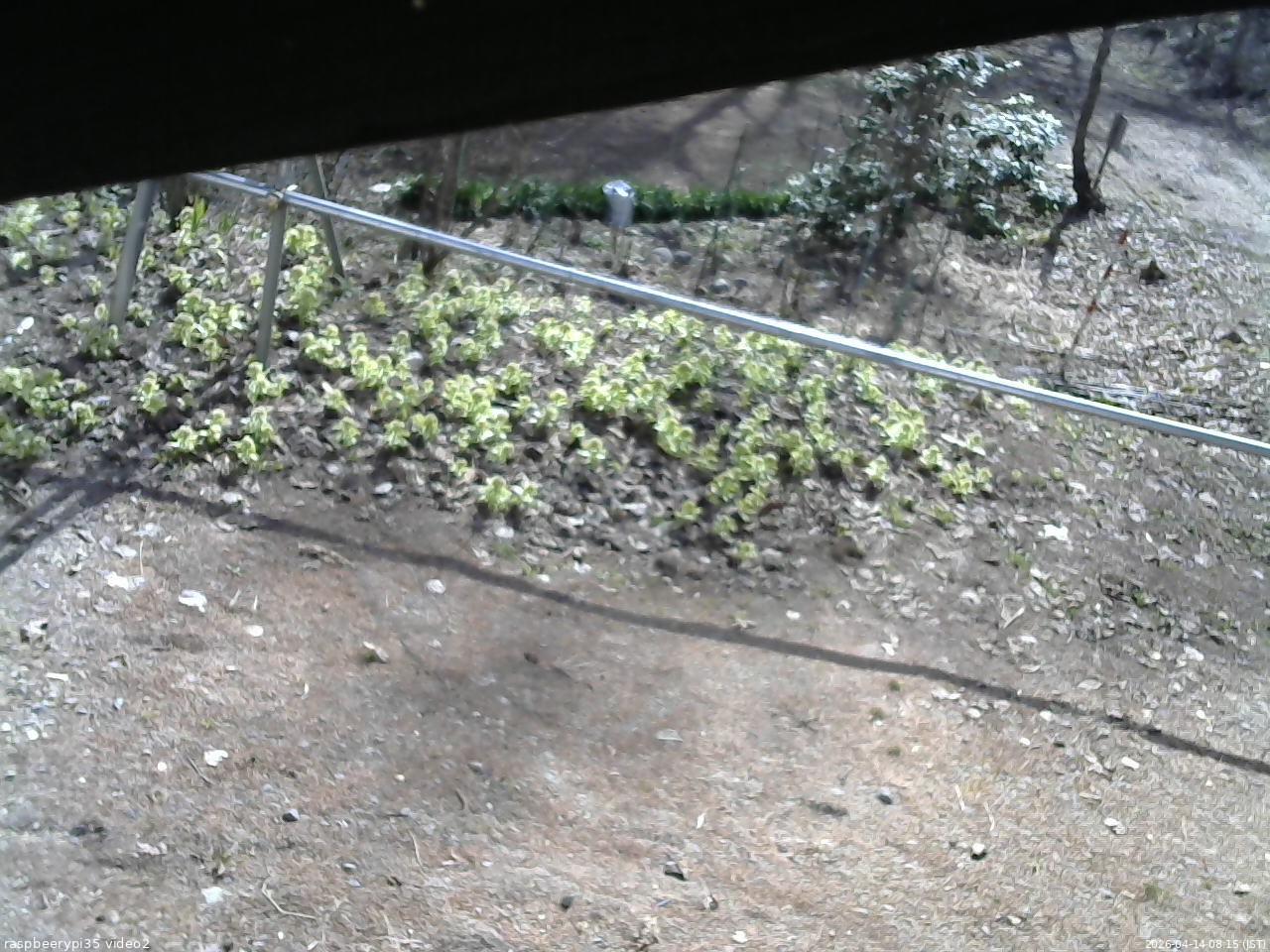長野県菅平高原 ゆたか山荘 駐車場 2026/04/14 08:15