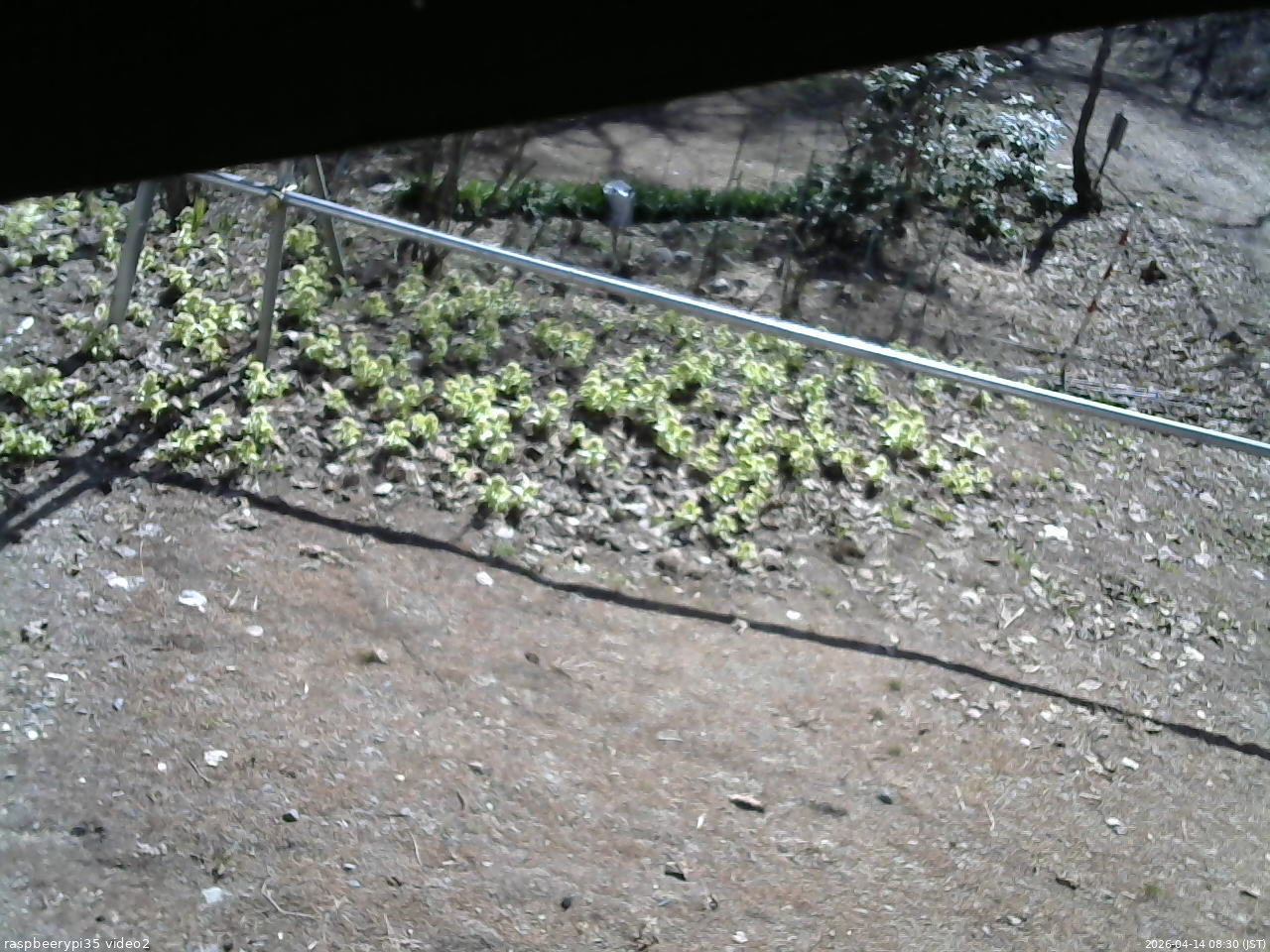 長野県菅平高原 ゆたか山荘 駐車場 2026/04/14 08:30
