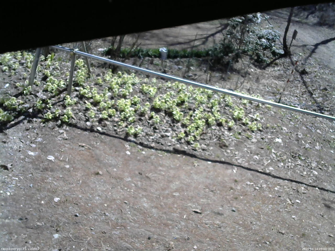 長野県菅平高原 ゆたか山荘 駐車場 2026/04/14 09:00