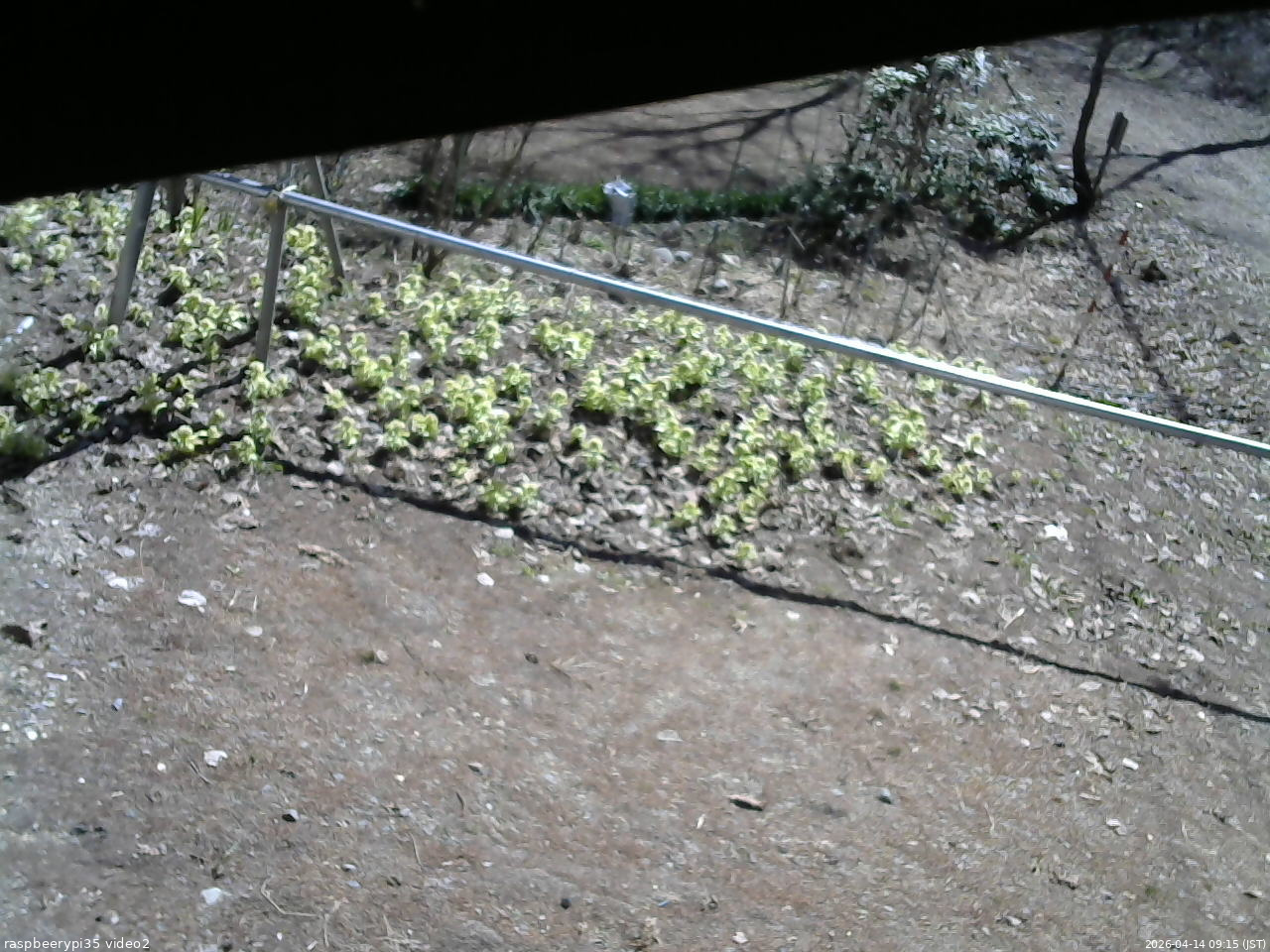長野県菅平高原 ゆたか山荘 駐車場 2026/04/14 09:15