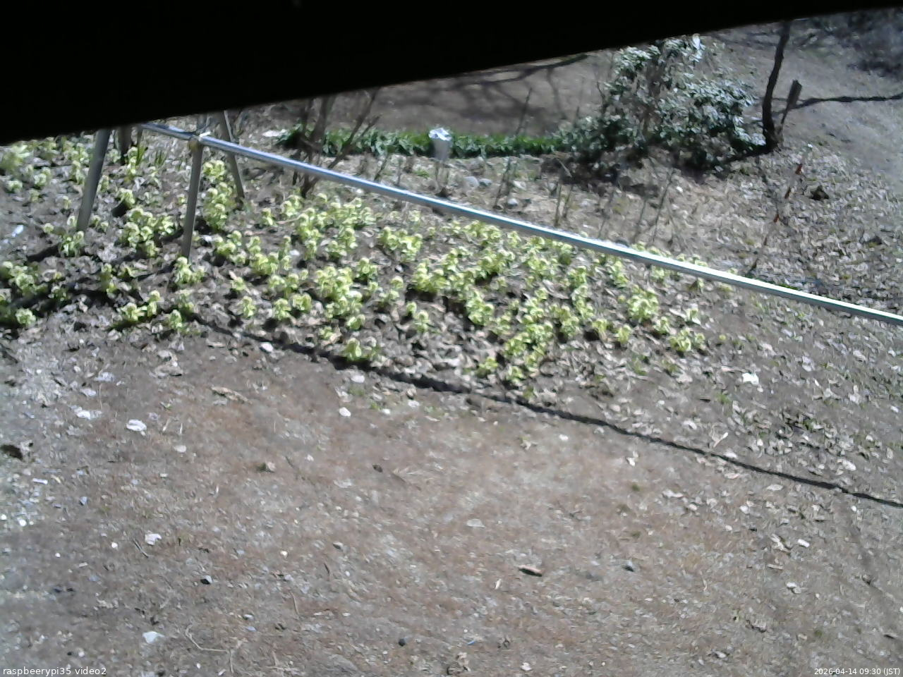 長野県菅平高原 ゆたか山荘 駐車場 2026/04/14 09:30