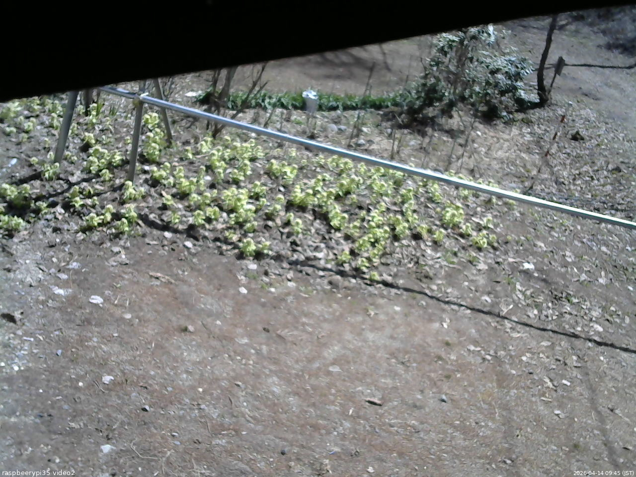 長野県菅平高原 ゆたか山荘 駐車場 2026/04/14 09:45
