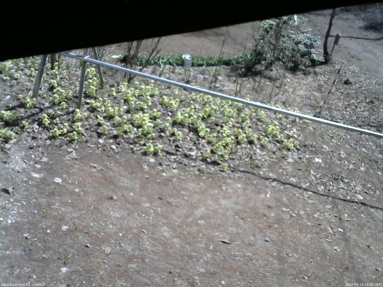 長野県菅平高原 ゆたか山荘 駐車場 2026/04/14 10:00