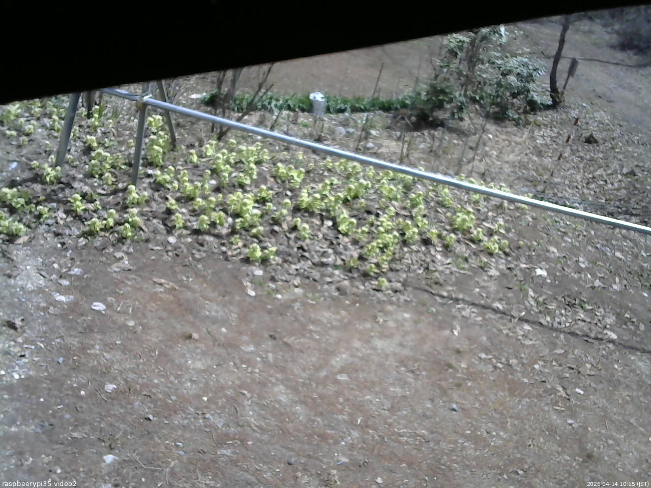 長野県菅平高原 ゆたか山荘 駐車場 2026/04/14 10:15