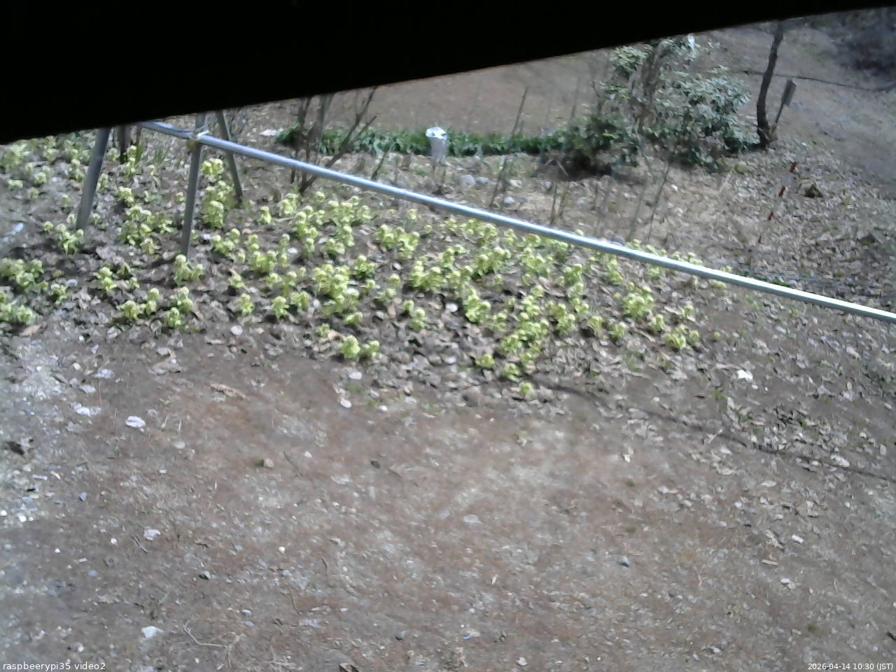 長野県菅平高原 ゆたか山荘 駐車場 2026/04/14 10:30