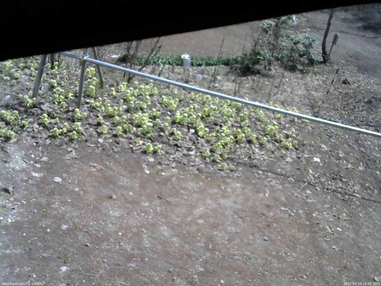 長野県菅平高原 ゆたか山荘 駐車場 2026/04/14 10:45