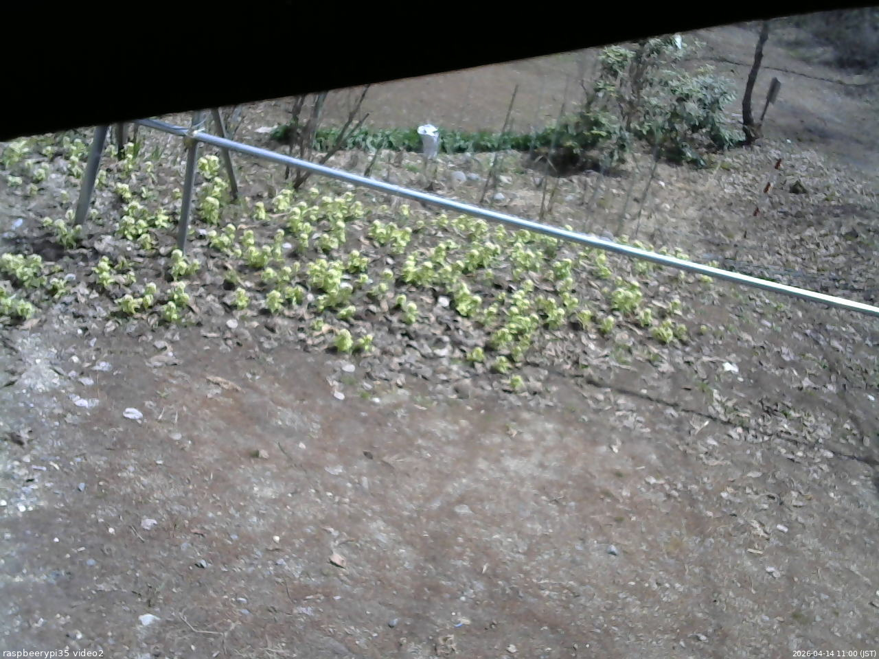 長野県菅平高原 ゆたか山荘 駐車場 2026/04/14 11:00