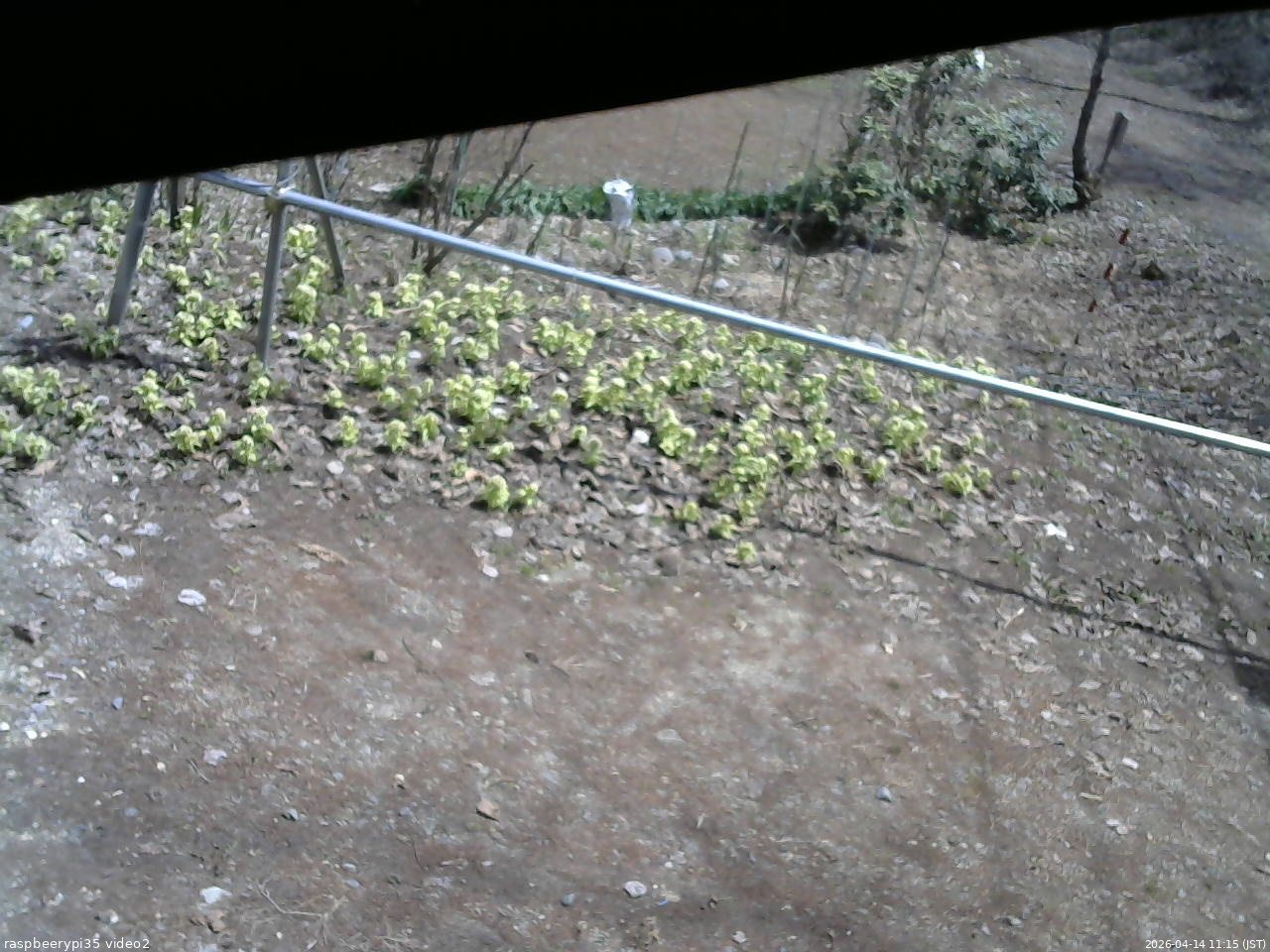 長野県菅平高原 ゆたか山荘 駐車場 2026/04/14 11:15