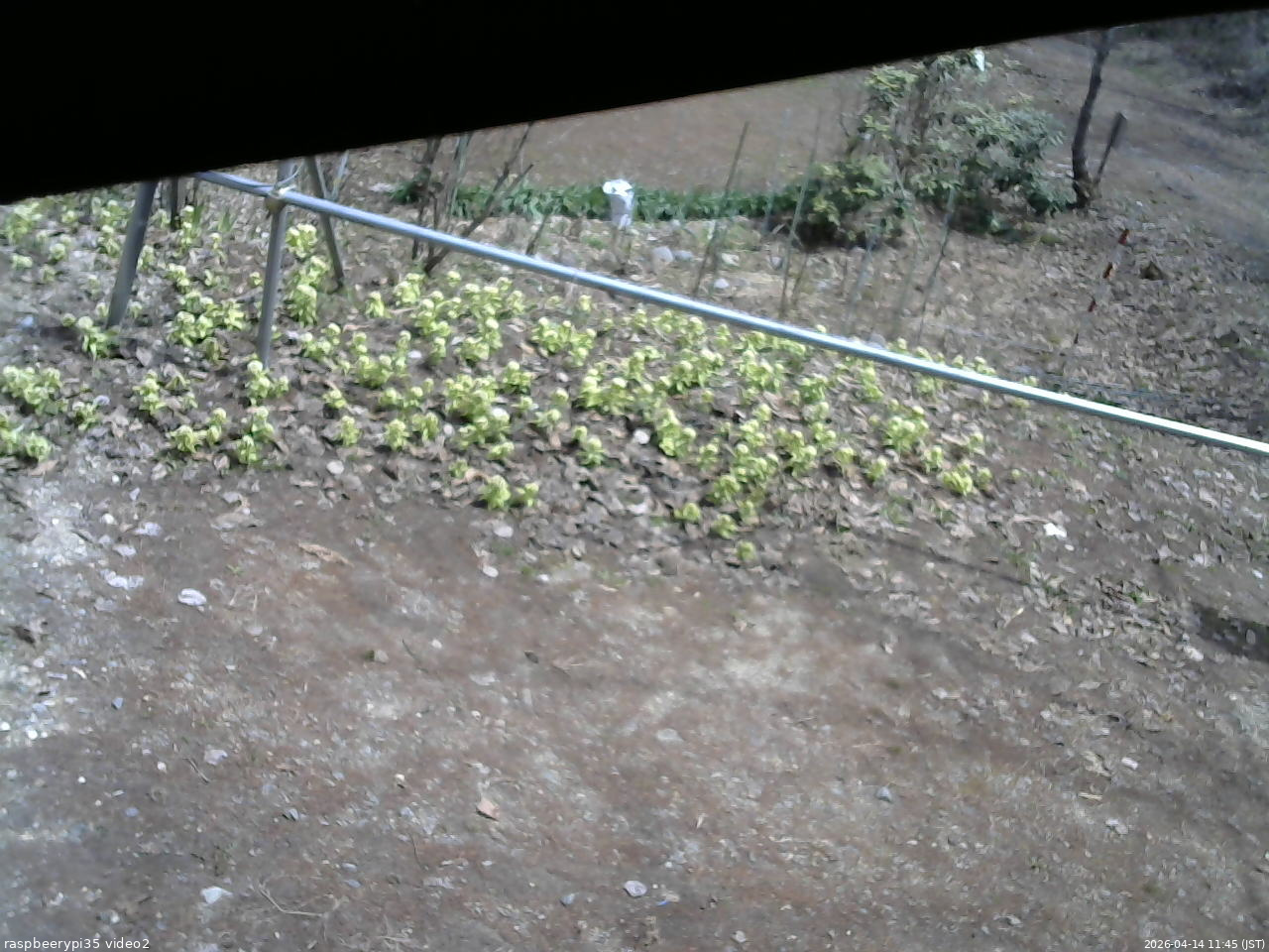 長野県菅平高原 ゆたか山荘 駐車場 2026/04/14 11:45