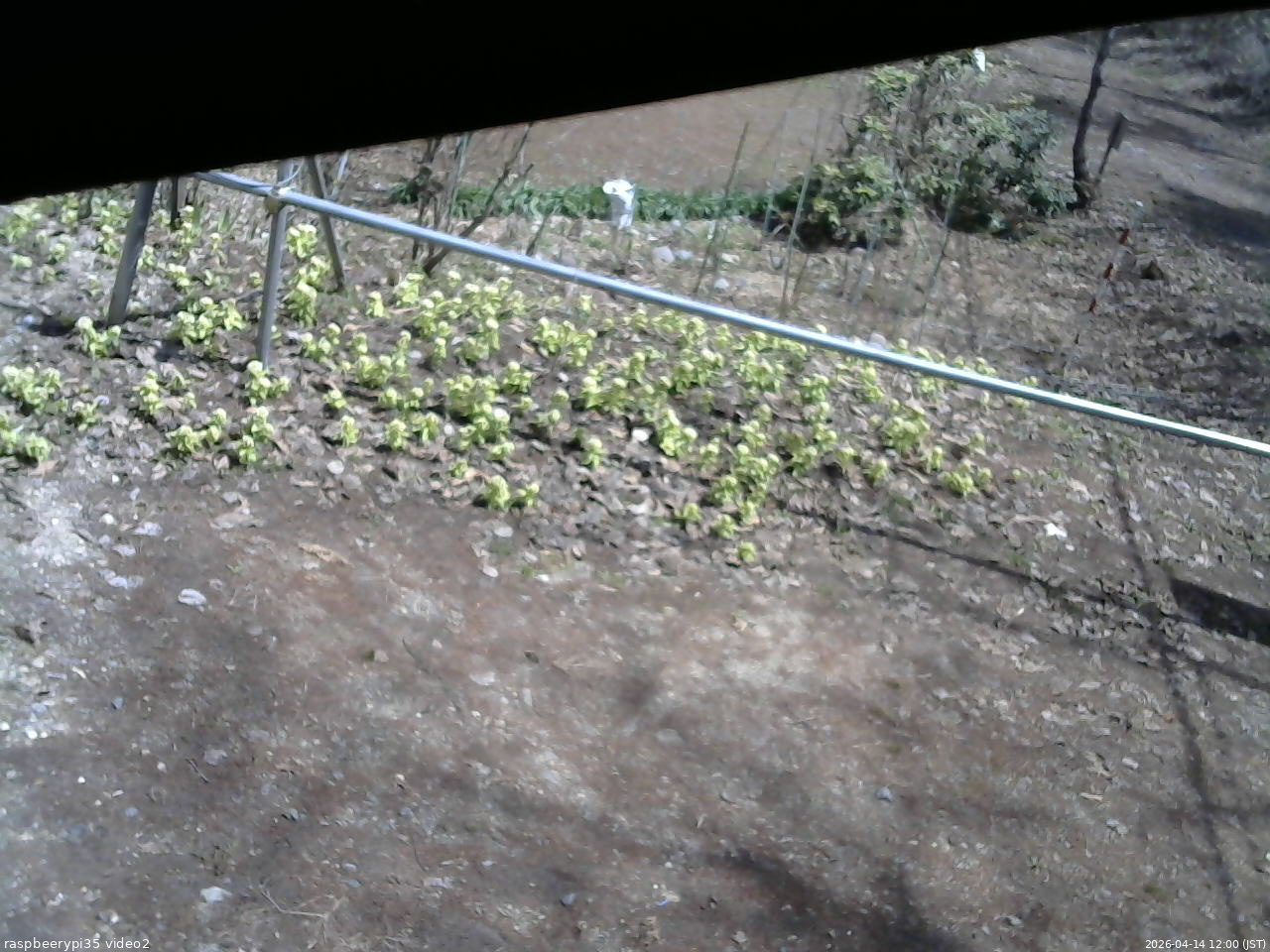 長野県菅平高原 ゆたか山荘 駐車場 2026/04/14 12:00