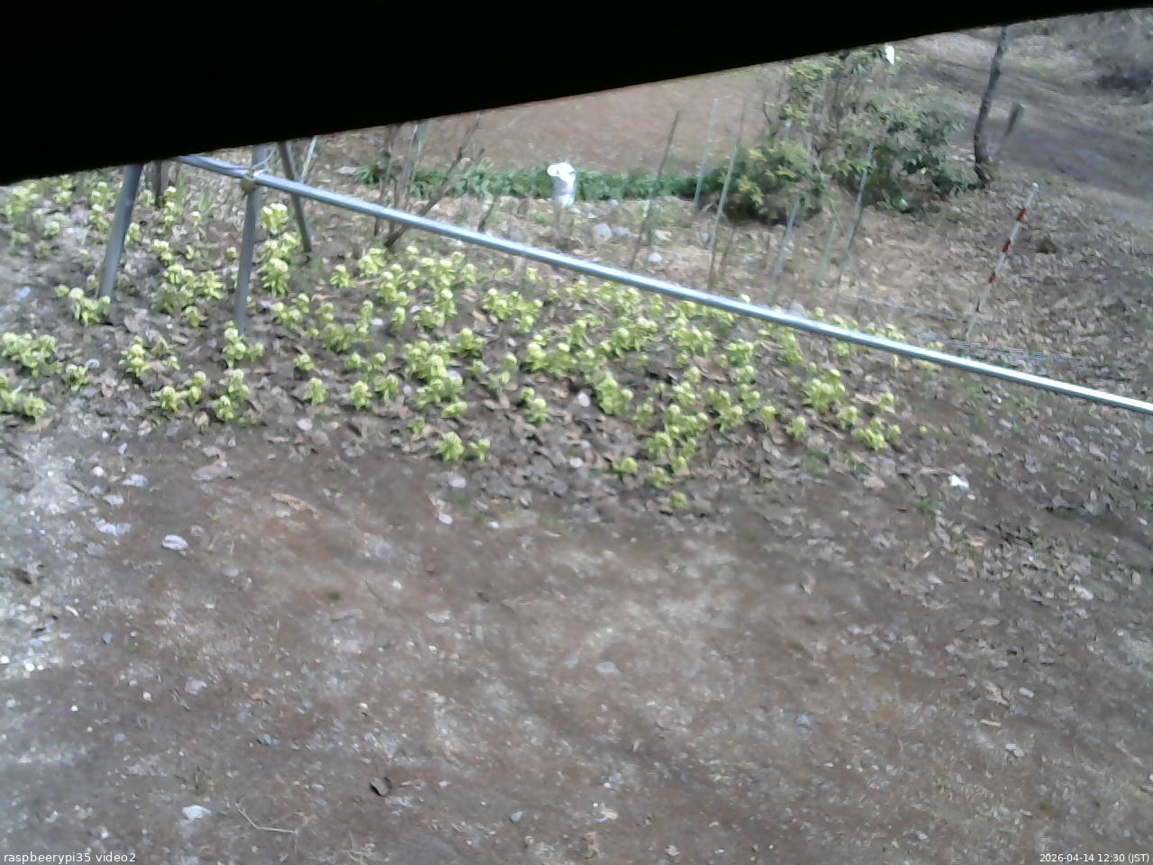 長野県菅平高原 ゆたか山荘 駐車場 2026/04/14 12:30