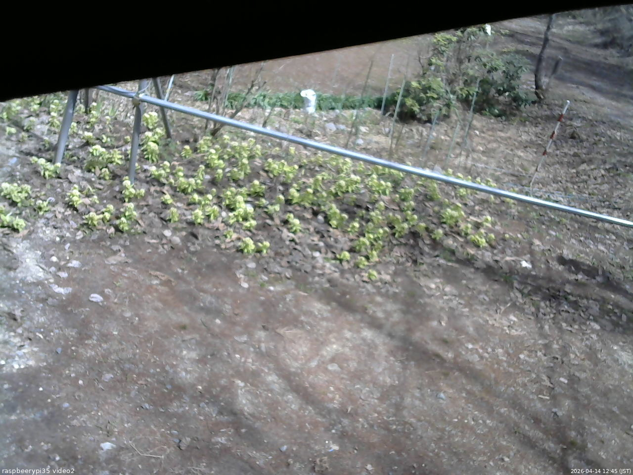 長野県菅平高原 ゆたか山荘 駐車場 2026/04/14 12:45