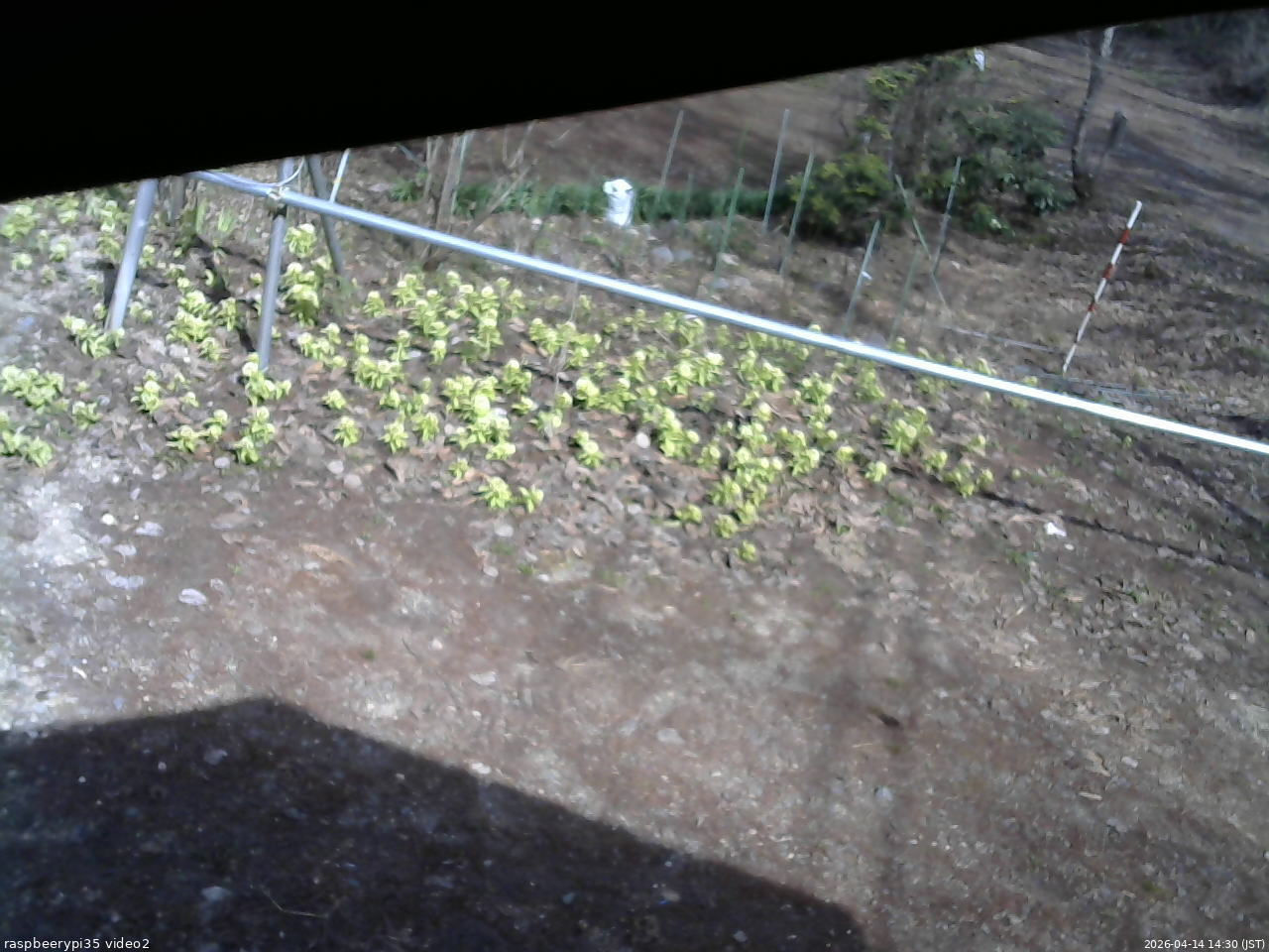 長野県菅平高原 ゆたか山荘 駐車場 2026/04/14 14:30