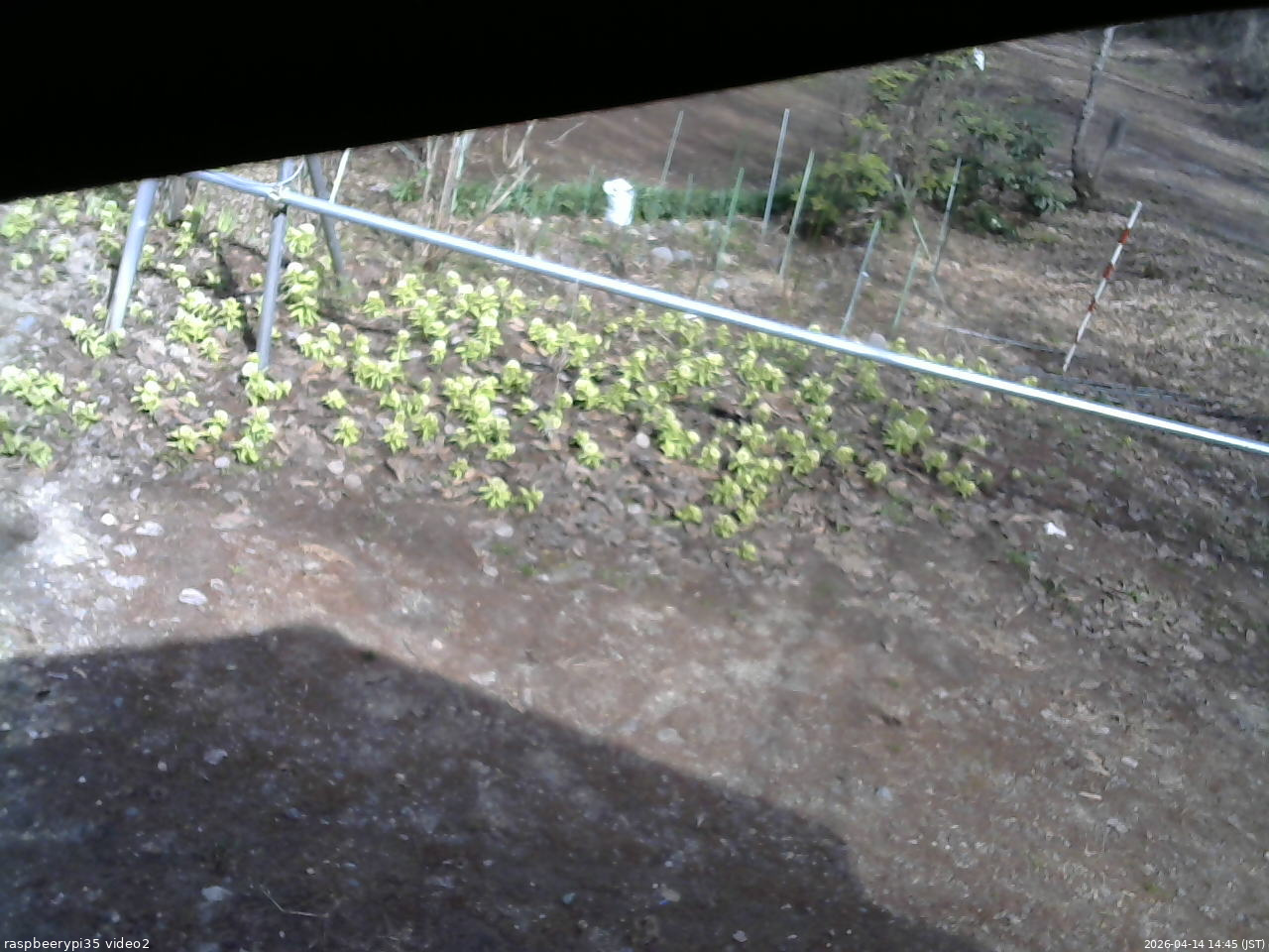 長野県菅平高原 ゆたか山荘 駐車場 2026/04/14 14:45