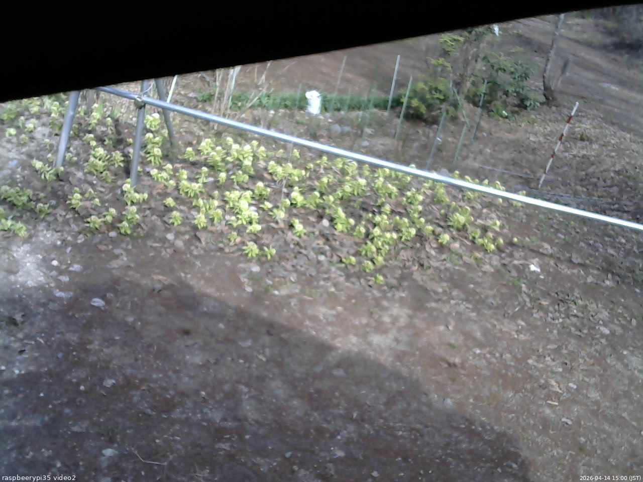 長野県菅平高原 ゆたか山荘 駐車場 2026/04/14 15:00