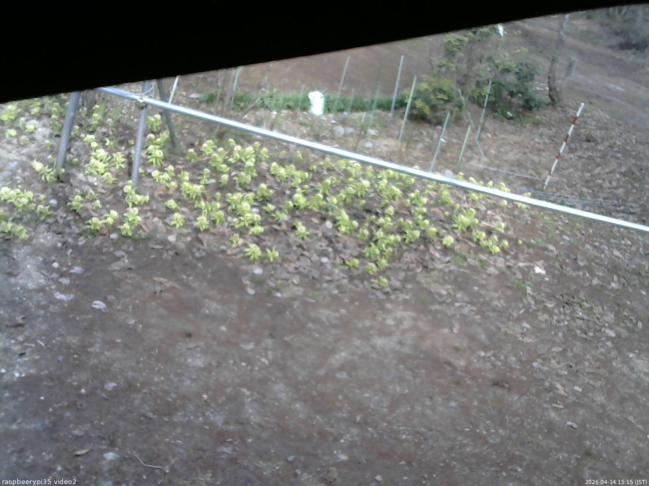 長野県菅平高原 ゆたか山荘 駐車場 2026/04/14 15:15