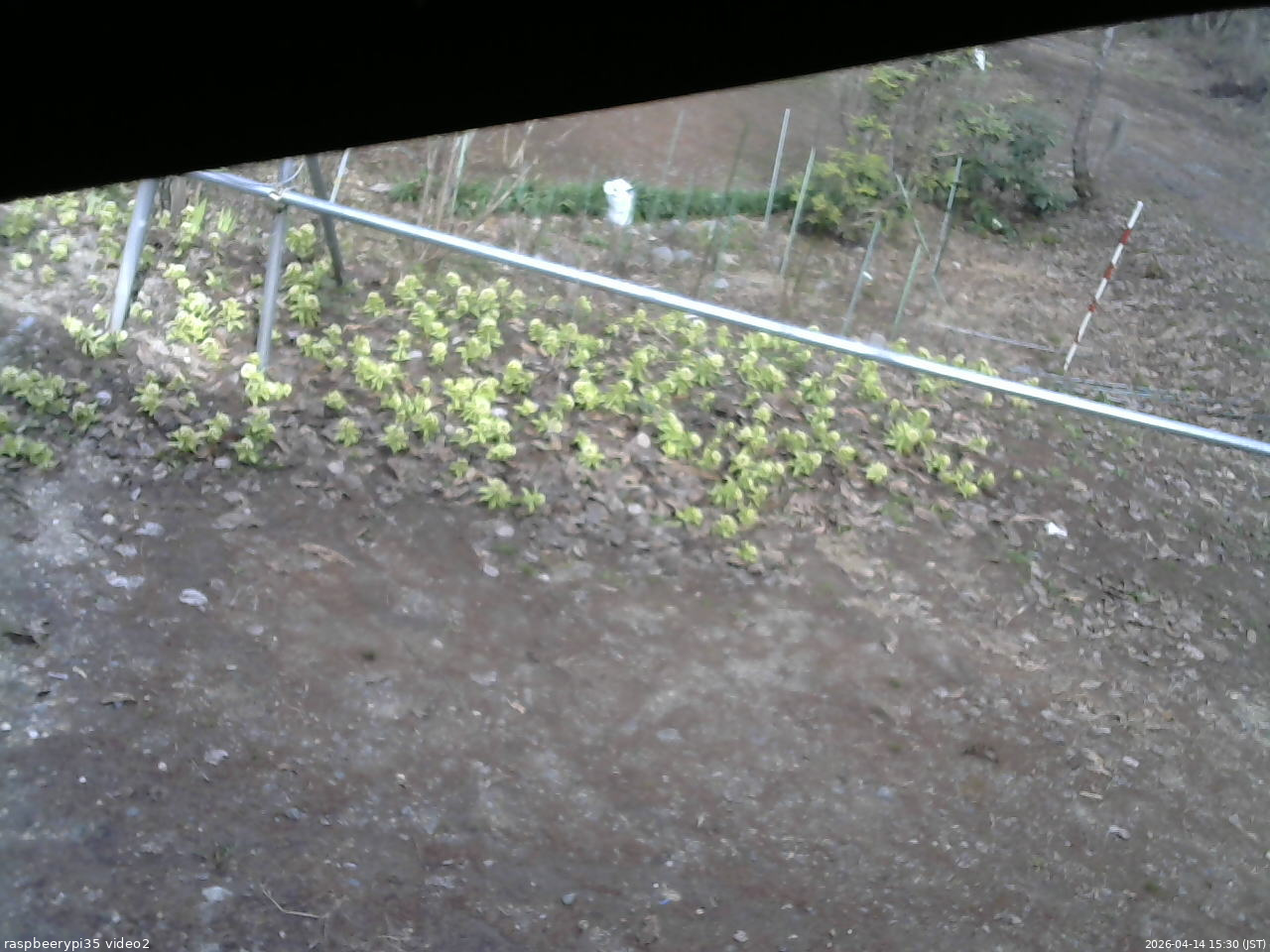 長野県菅平高原 ゆたか山荘 駐車場 2026/04/14 15:30