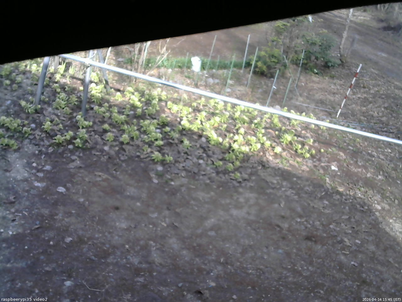 長野県菅平高原 ゆたか山荘 駐車場 2026/04/14 15:45