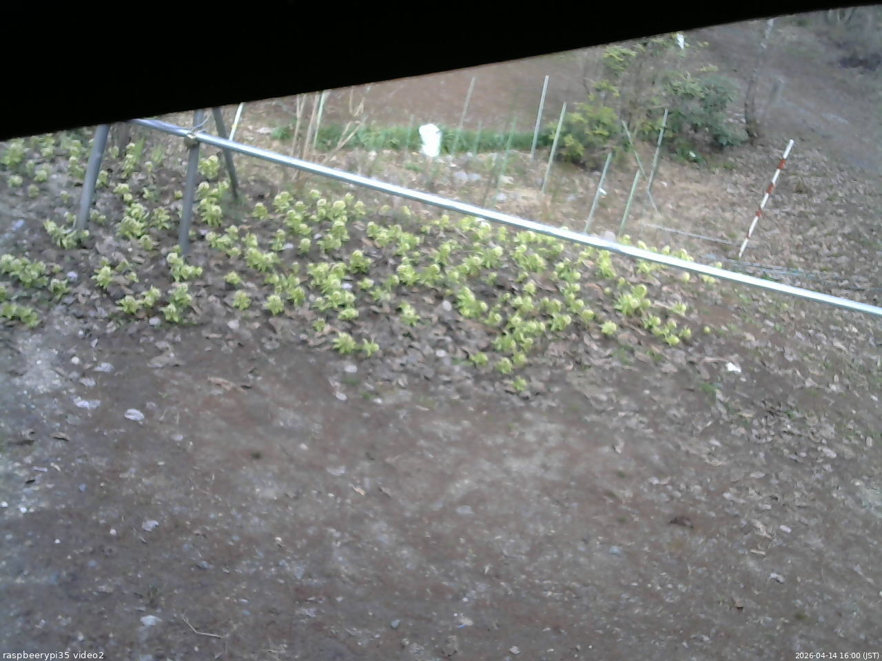 長野県菅平高原 ゆたか山荘 駐車場 2026/04/14 16:00