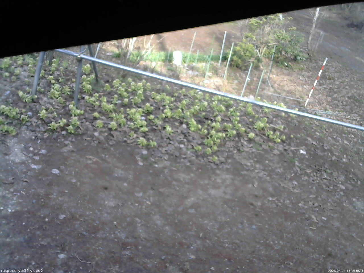 長野県菅平高原 ゆたか山荘 駐車場 2026/04/14 16:15