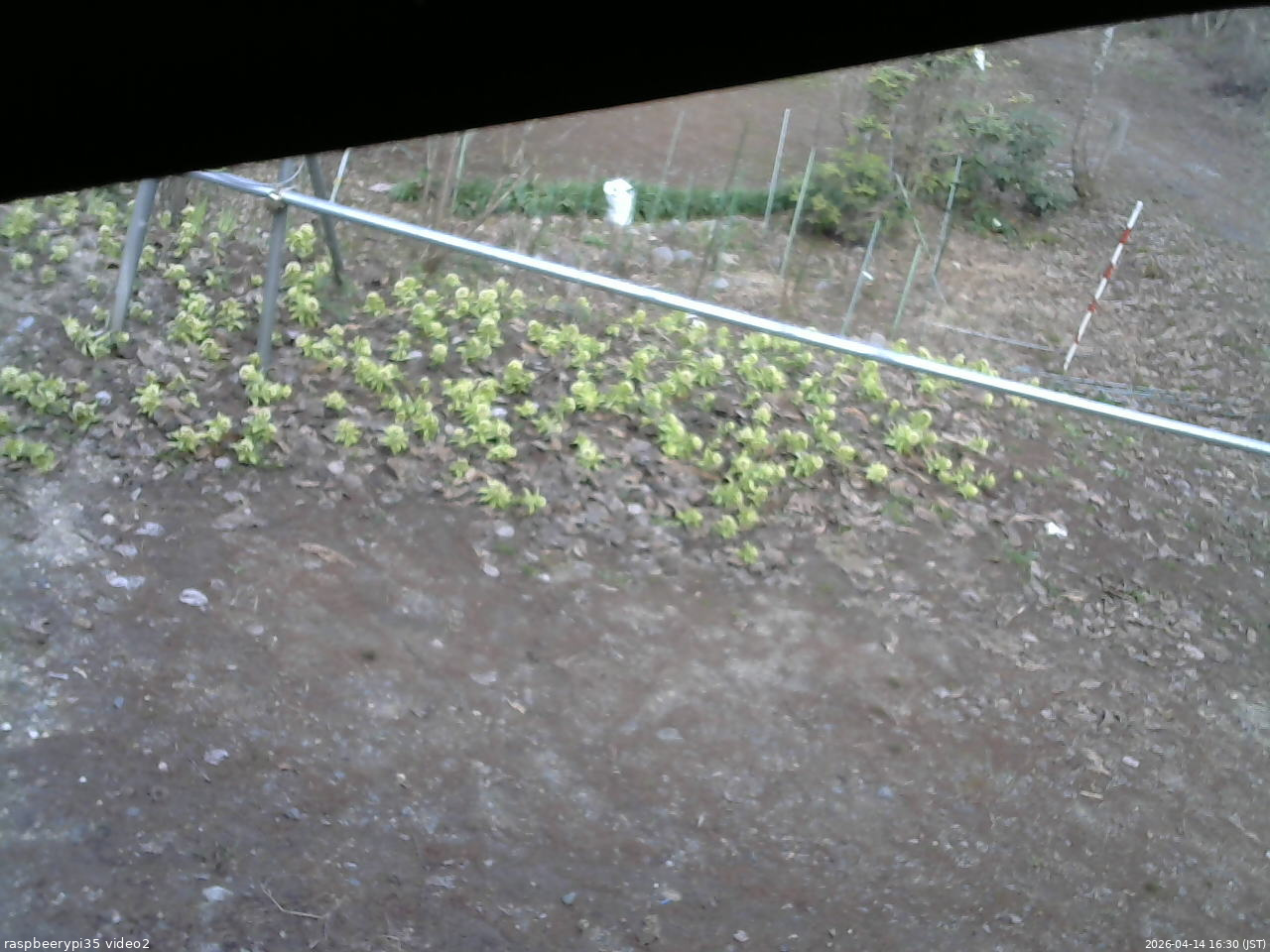 長野県菅平高原 ゆたか山荘 駐車場 2026/04/14 16:30