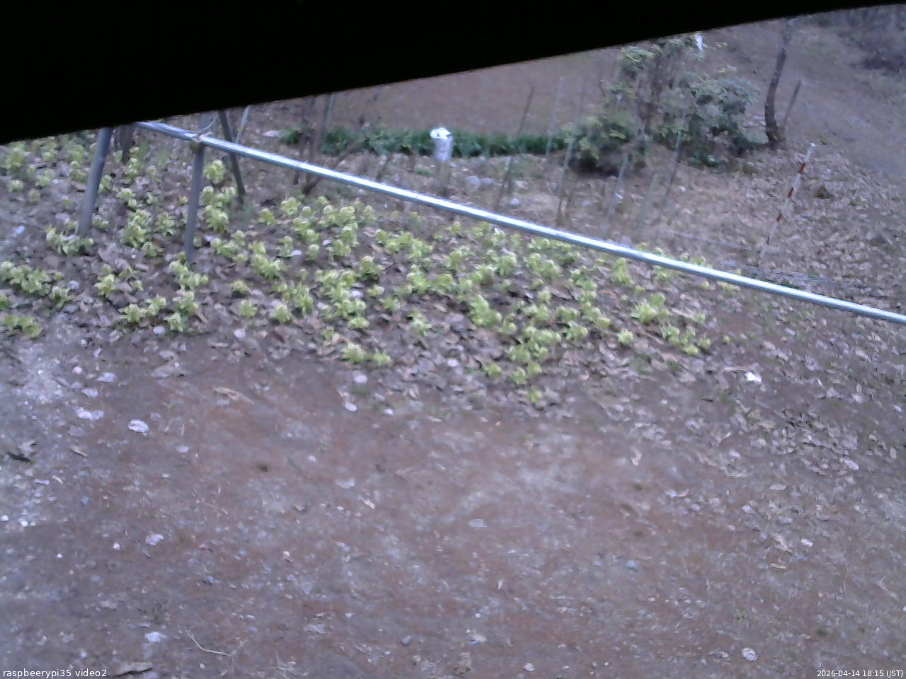 長野県菅平高原 ゆたか山荘 駐車場 2026/04/14 18:15