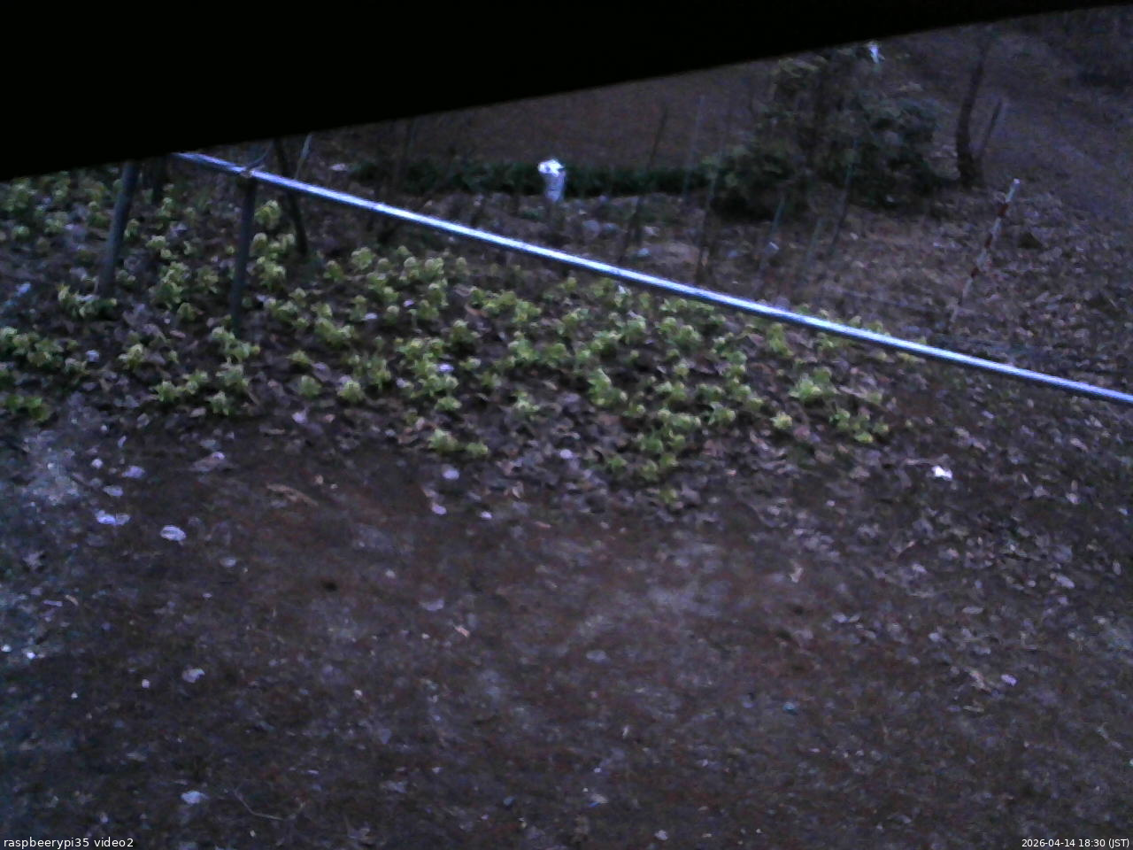 長野県菅平高原 ゆたか山荘 駐車場 2026/04/14 18:30