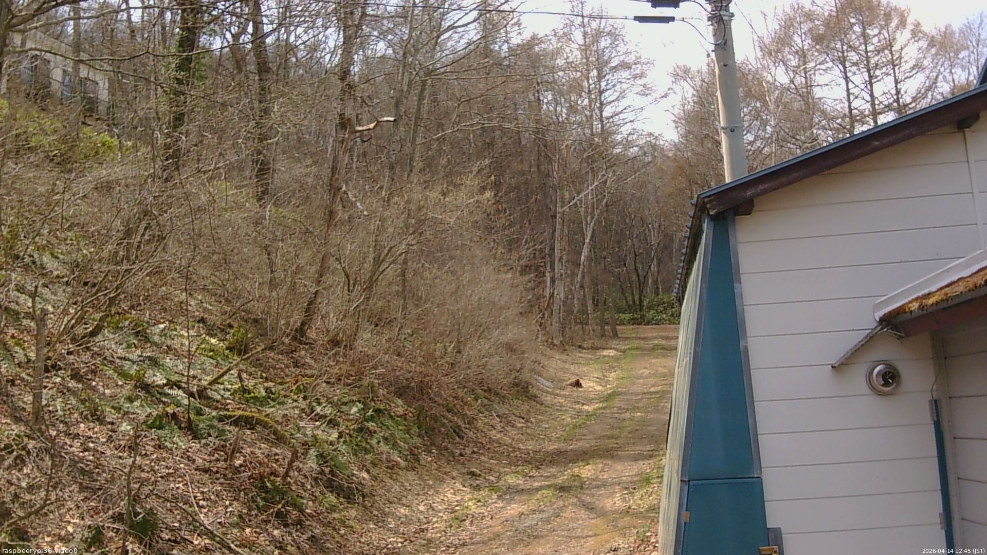 長野県菅平高原 ゆたか山荘 ゆたか山荘 2026/04/14 12:45