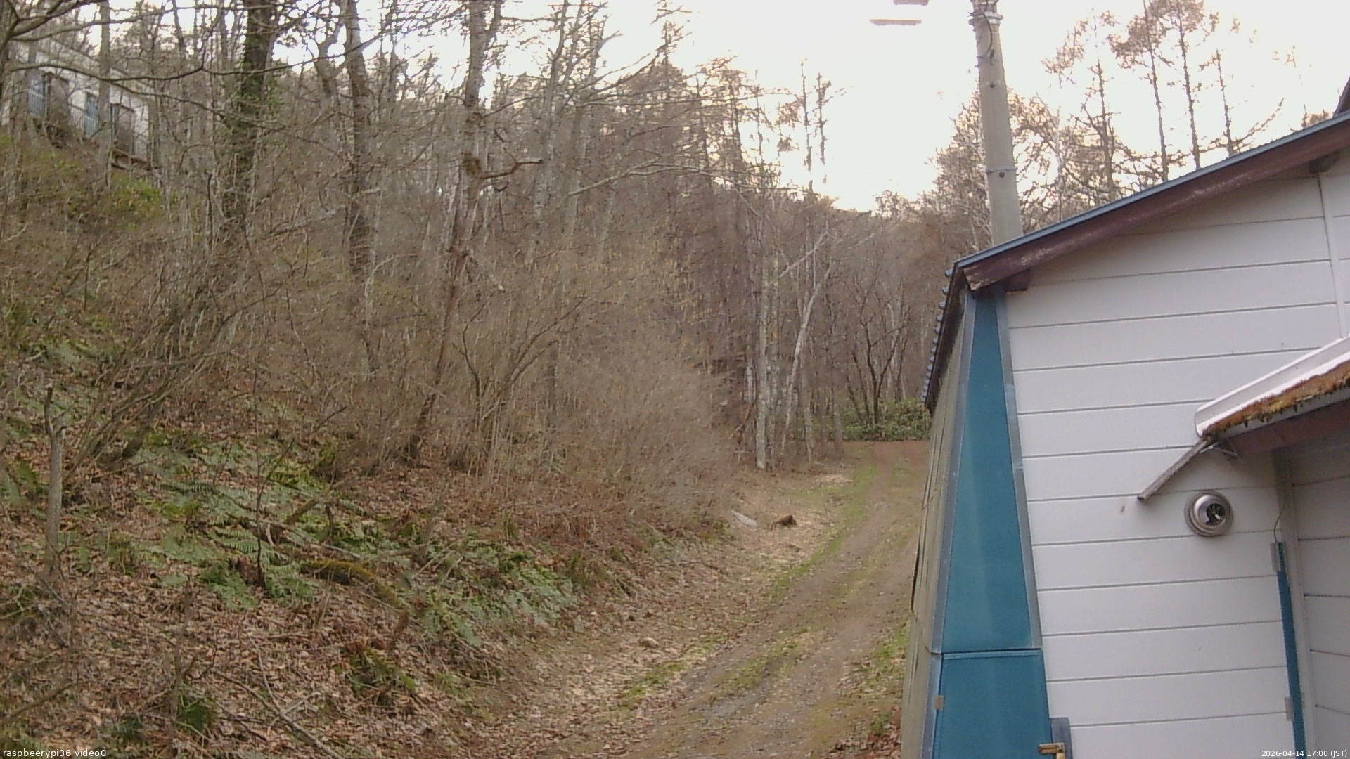 長野県菅平高原 ゆたか山荘 ゆたか山荘 2026/04/14 17:00