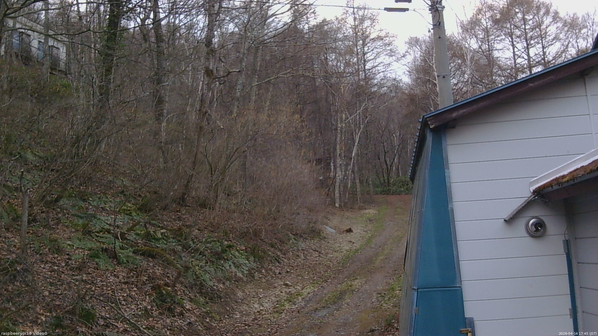 長野県菅平高原 ゆたか山荘 ゆたか山荘 2026/04/14 17:45