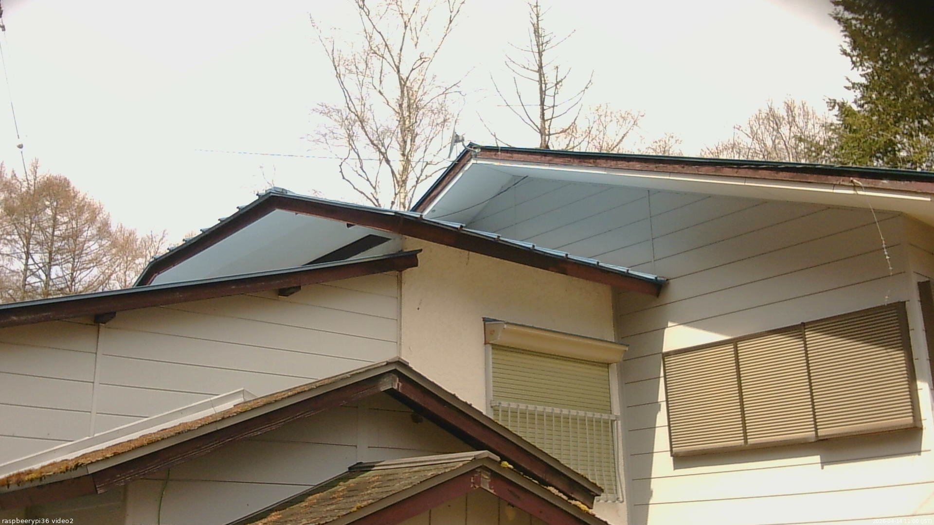 長野県菅平高原 ゆたか山荘 駐車場奥 2026/04/14 11:00