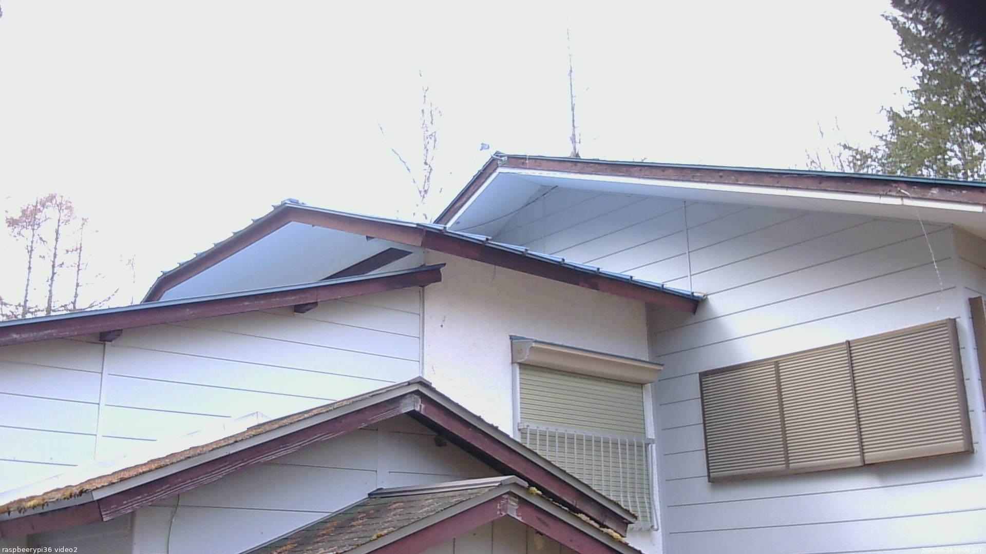 長野県菅平高原 ゆたか山荘 駐車場奥 2026/04/14 13:00