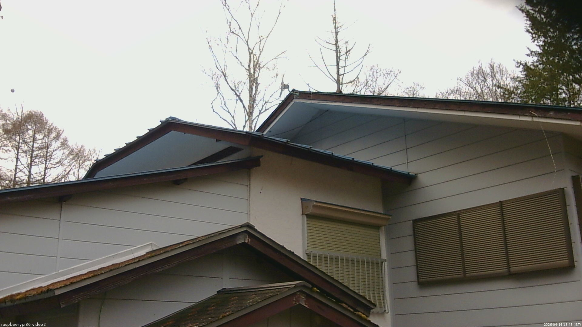 長野県菅平高原 ゆたか山荘 駐車場奥 2026/04/14 13:45