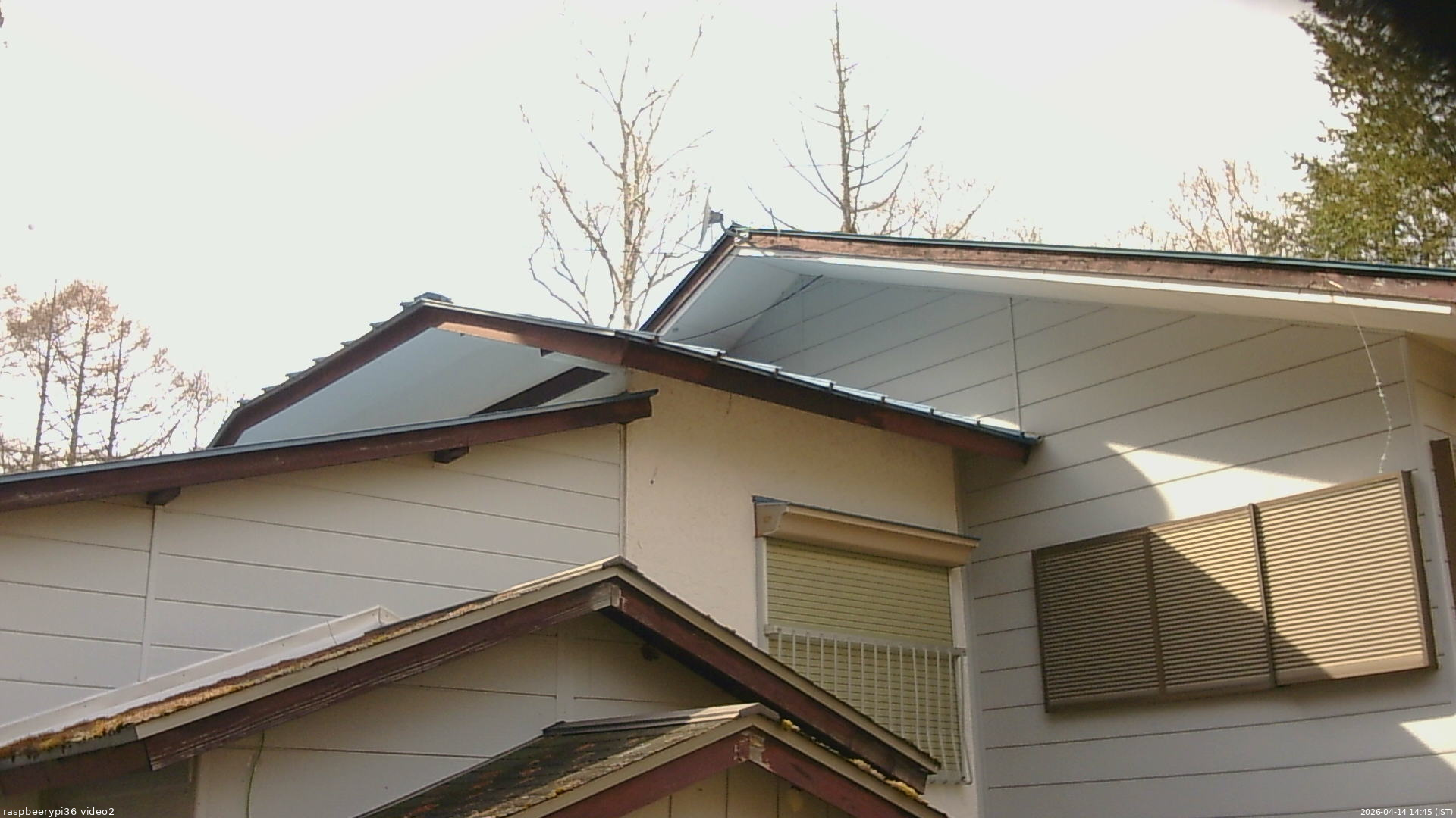 長野県菅平高原 ゆたか山荘 駐車場奥 2026/04/14 14:45