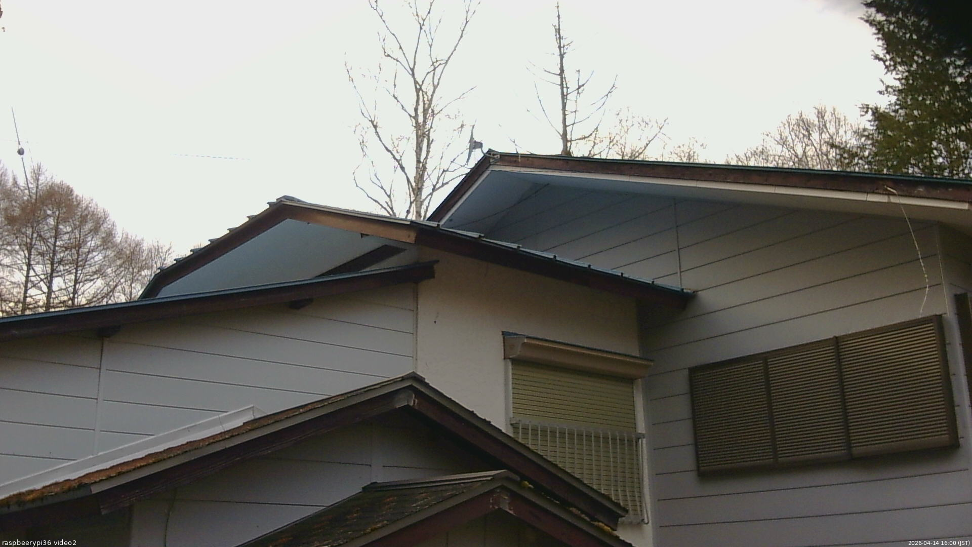 長野県菅平高原 ゆたか山荘 駐車場奥 2026/04/14 16:00