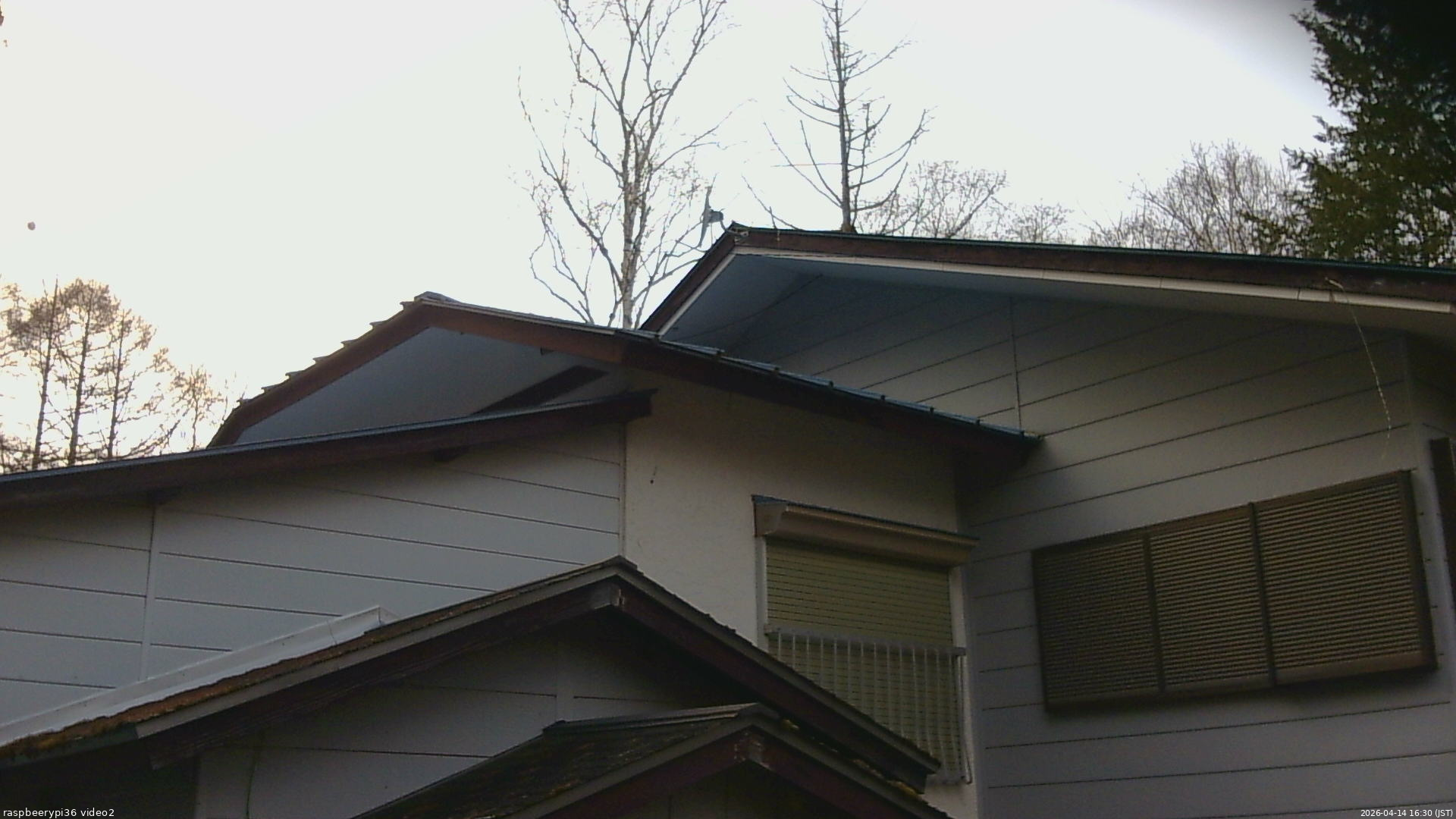 長野県菅平高原 ゆたか山荘 駐車場奥 2026/04/14 16:30