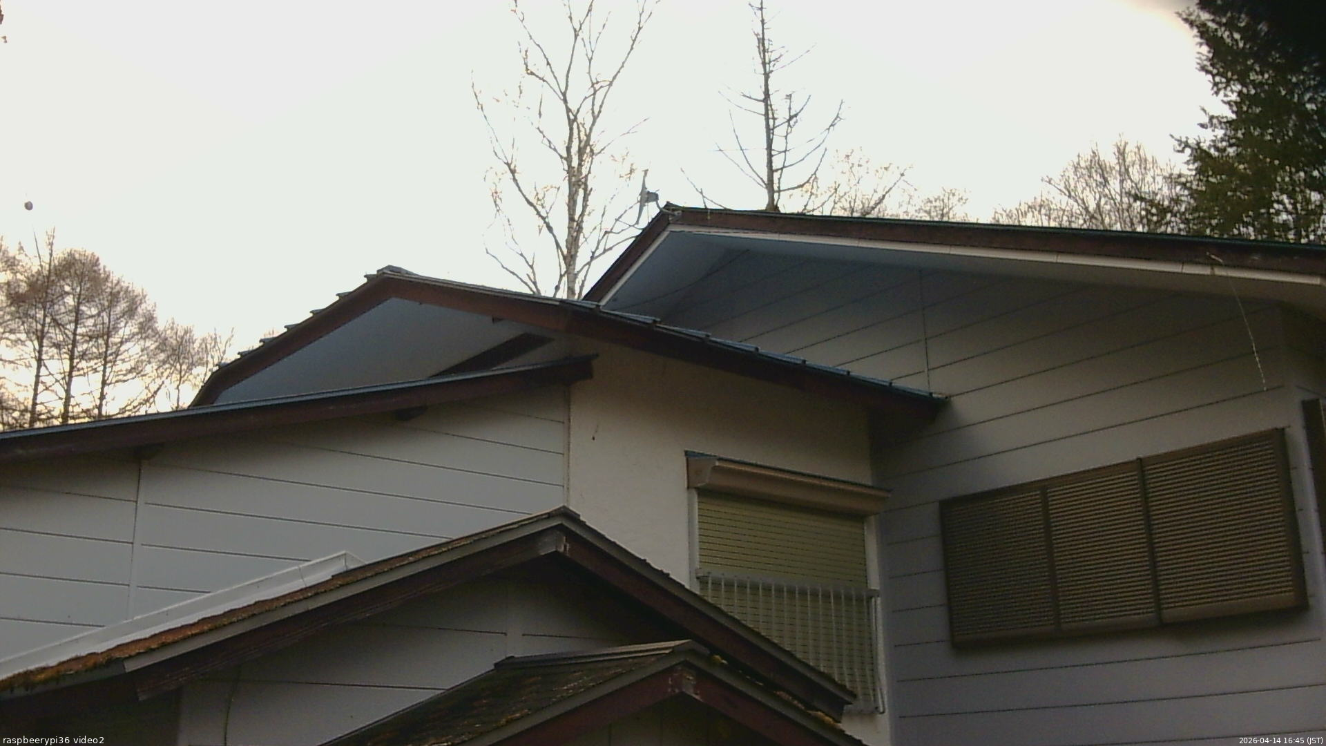 長野県菅平高原 ゆたか山荘 駐車場奥 2026/04/14 16:45