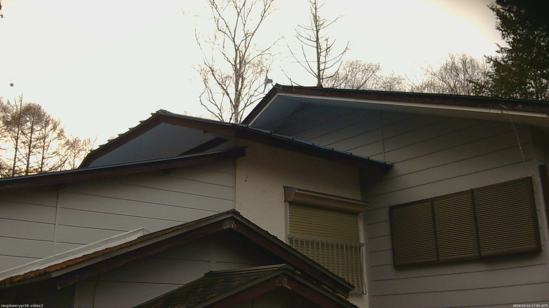 長野県菅平高原 ゆたか山荘 駐車場奥 2026/04/14 17:00