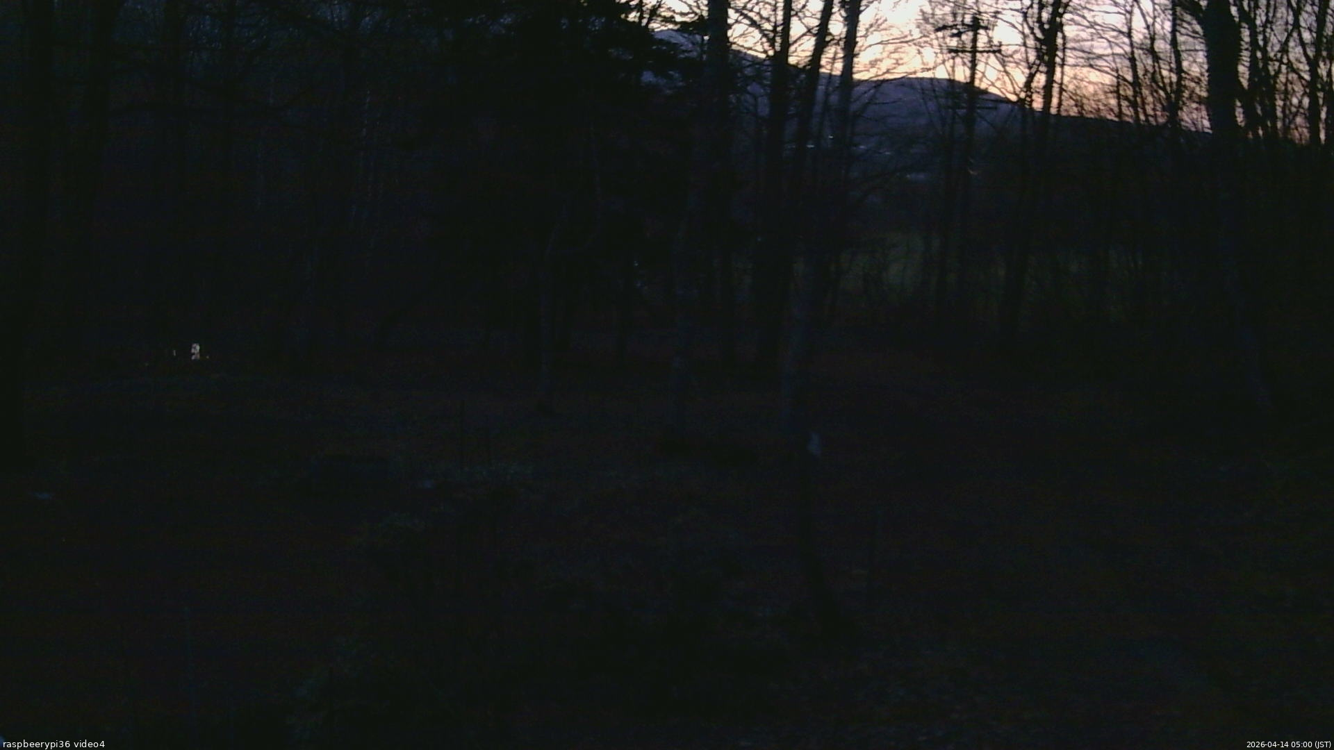 長野県菅平高原 ゆたか山荘 坂上 2026/04/14 05:00