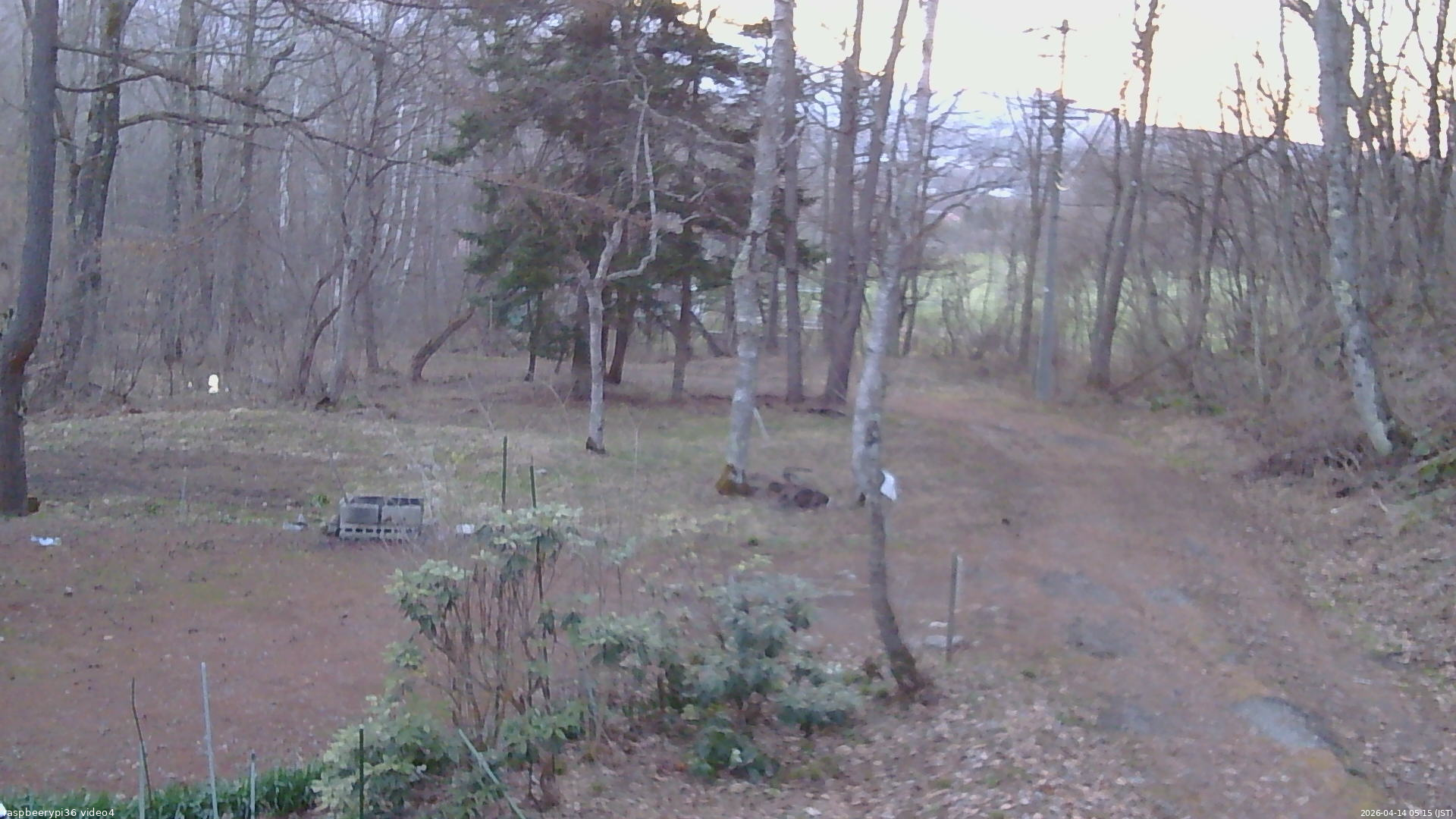 長野県菅平高原 ゆたか山荘 坂上 2026/04/14 05:15