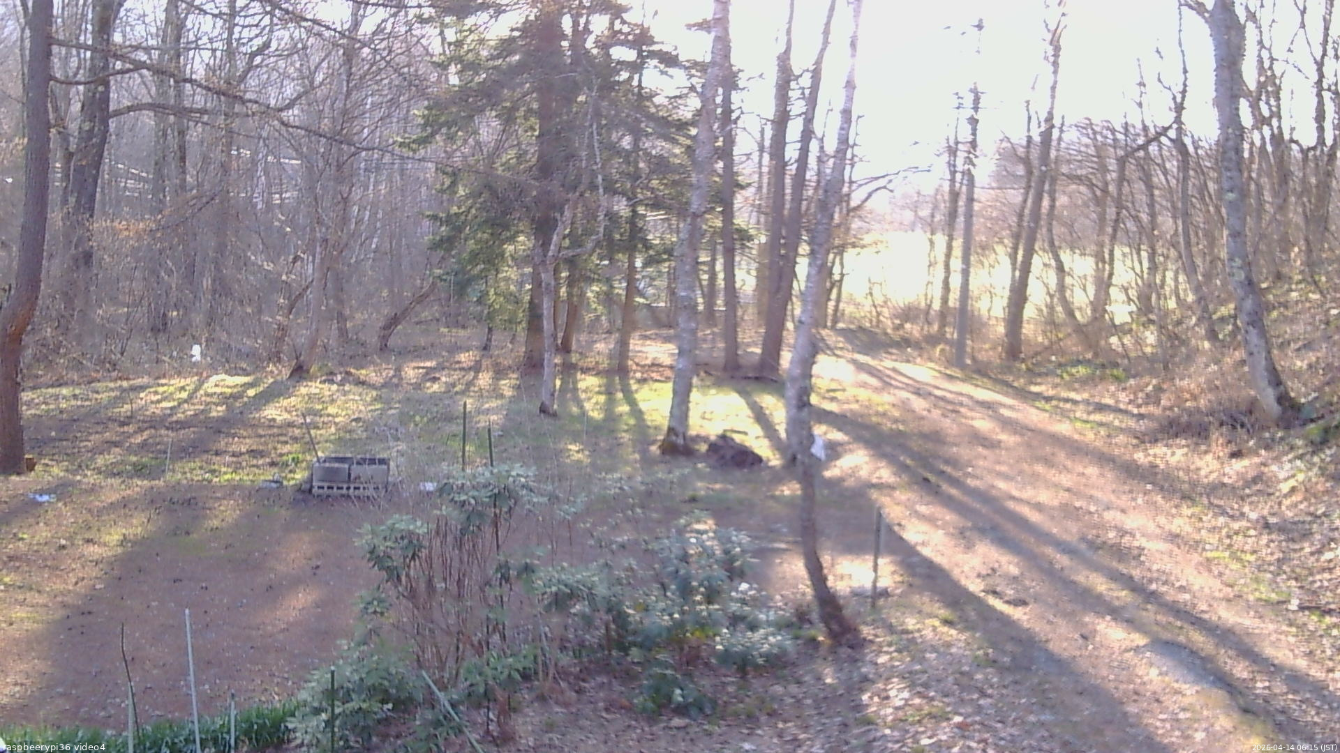 長野県菅平高原 ゆたか山荘 坂上 2026/04/14 06:15