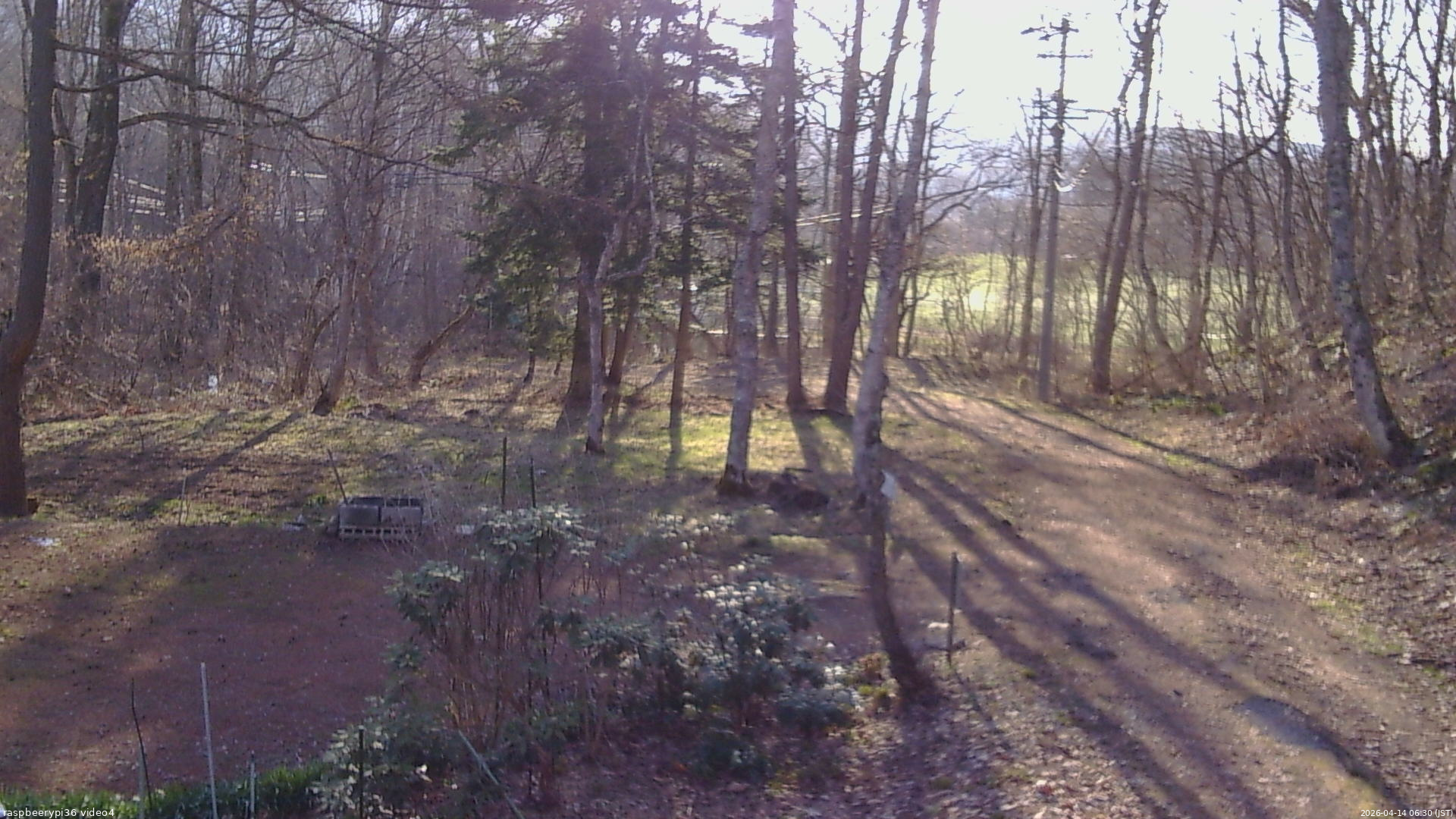 長野県菅平高原 ゆたか山荘 坂上 2026/04/14 06:30